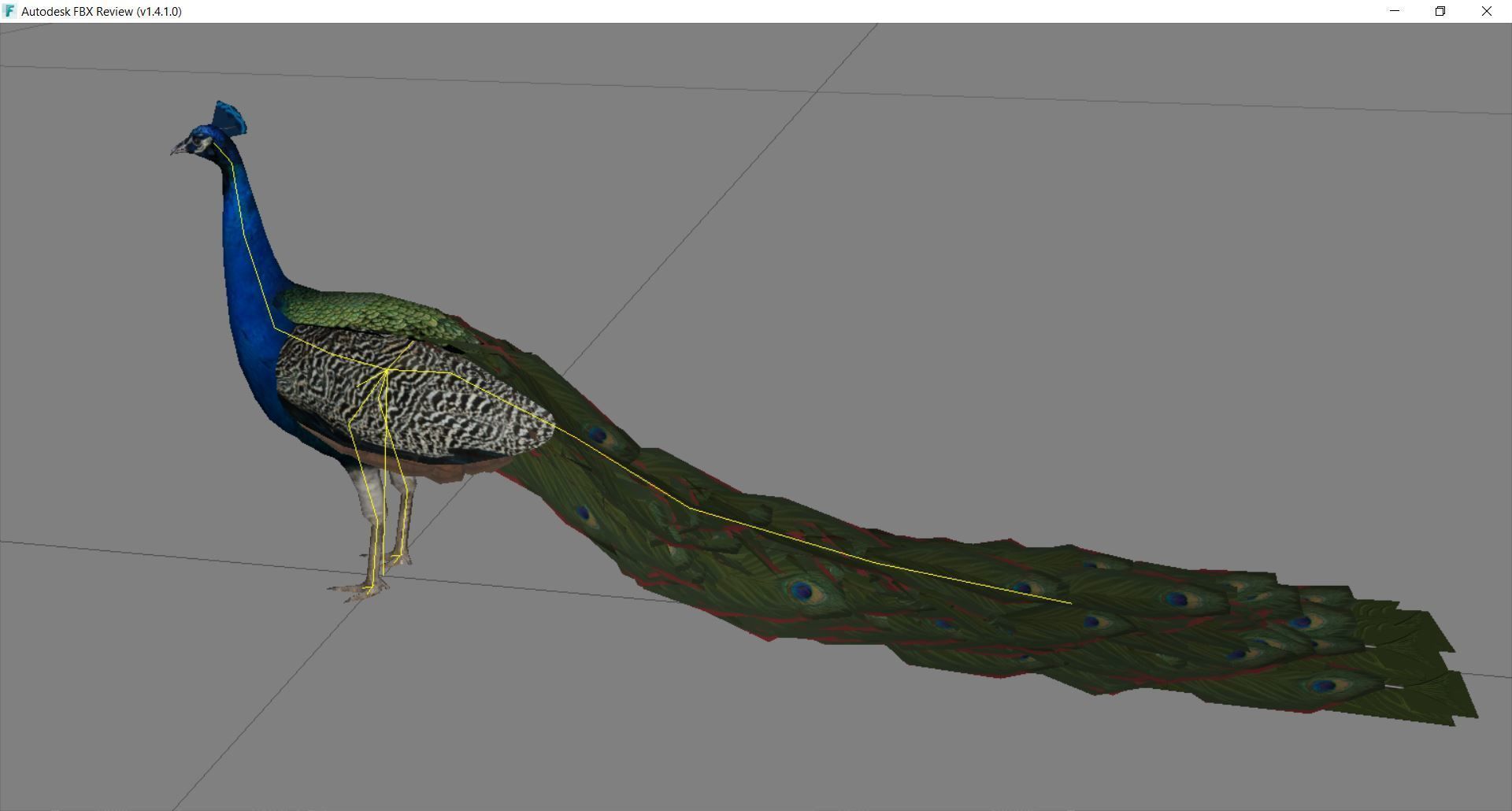 Peacock Low-poly 3D model_12