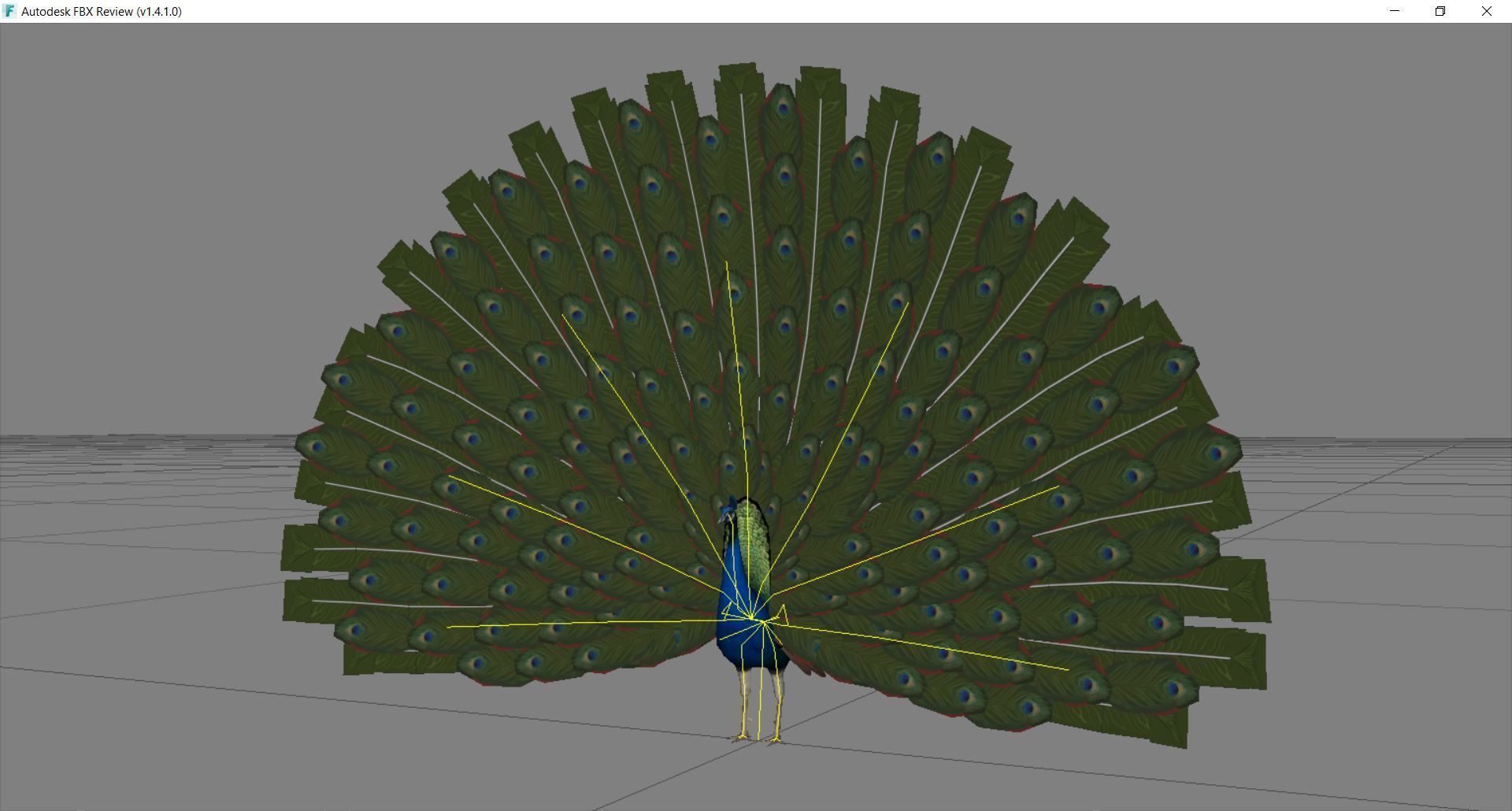Peacock Low-poly 3D model_14