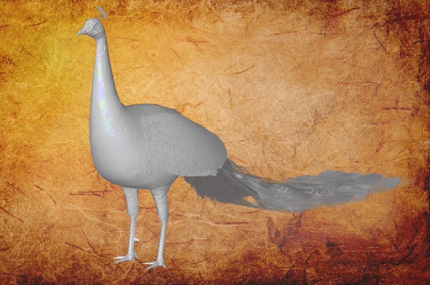 Peacock Low-poly 3D model_6