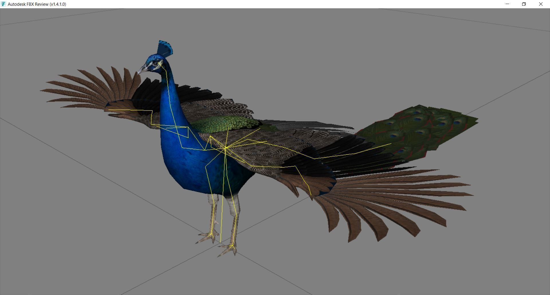 Peacock Low-poly 3D model_37