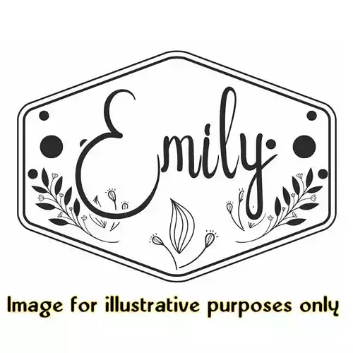 Emily Cookie Cutter with stamp 