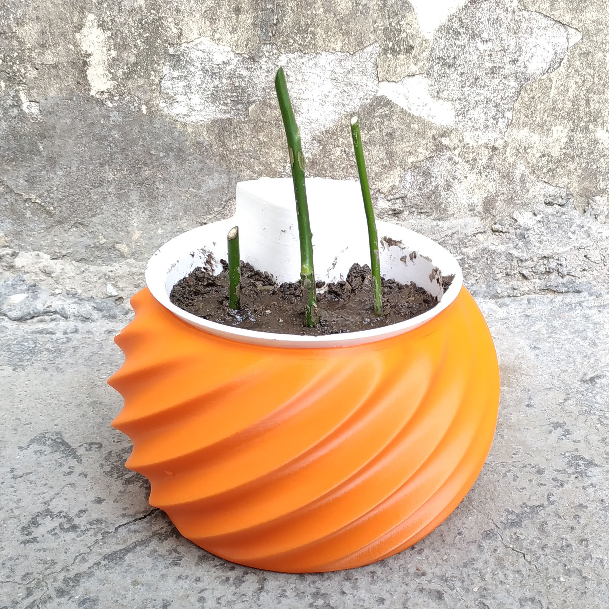 Self Watering Planter STL File for 3D Printing   3D print model_7