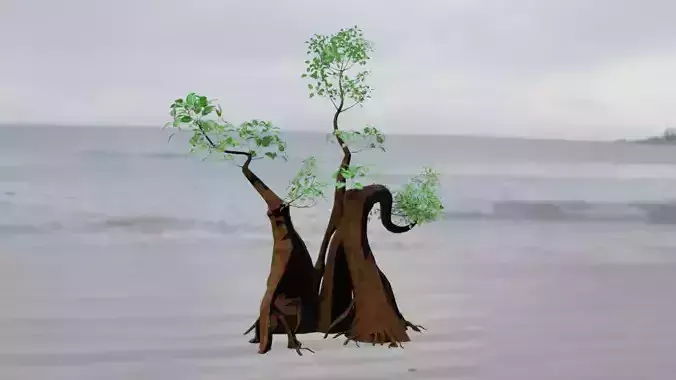 Aegialitis Annulata 3D model