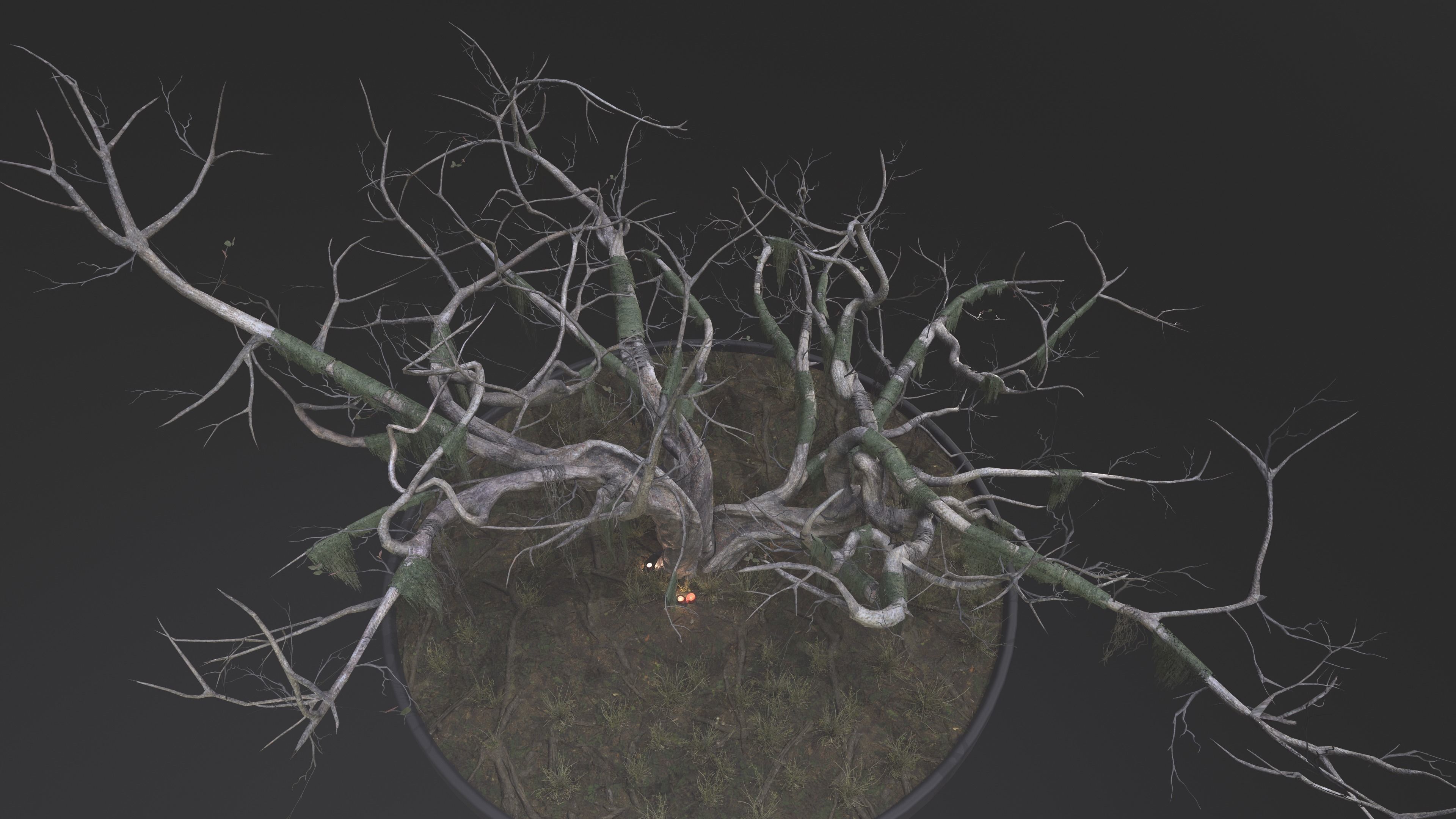 Nature Assets - Large Swamp Tree Low-poly 3D model_5