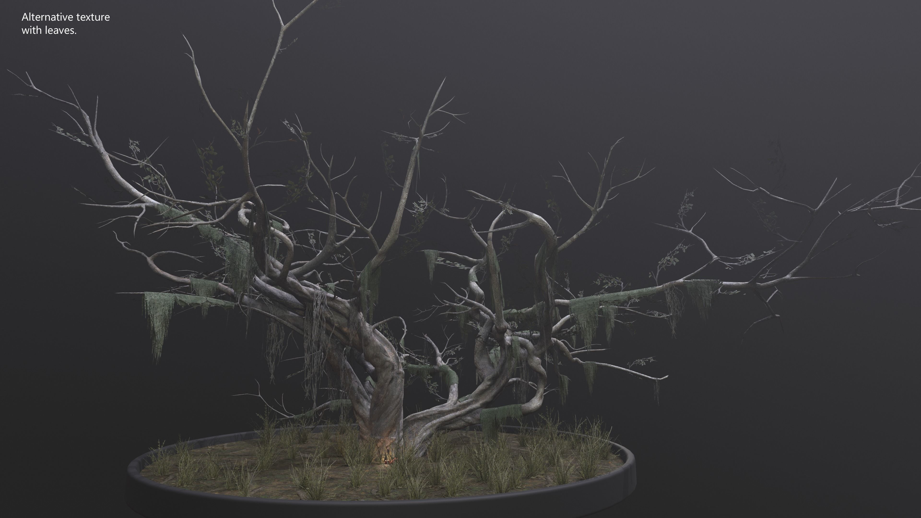 Nature Assets - Large Swamp Tree Low-poly 3D model_14