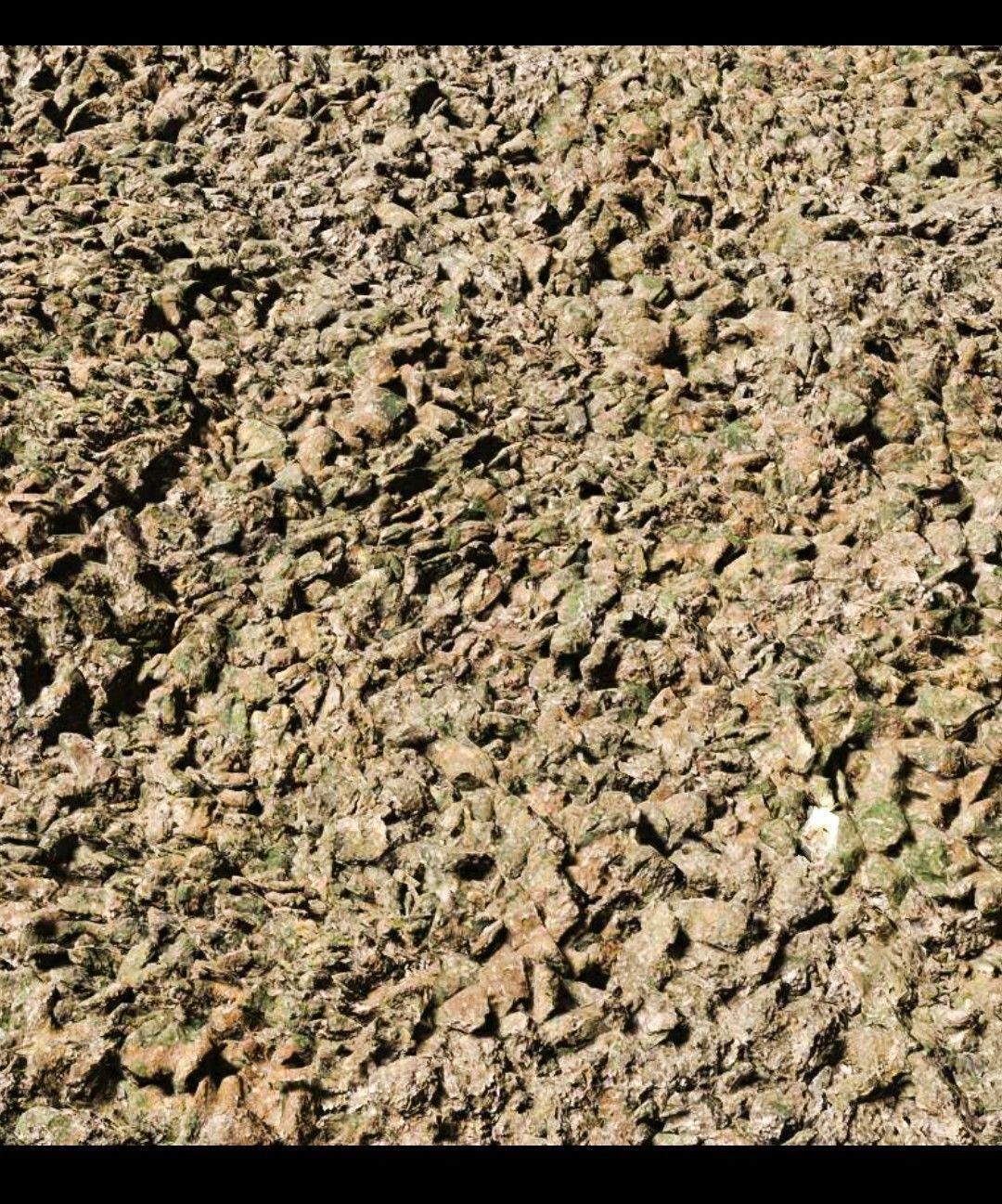 Rough Terrain 3D Model 3D model_8