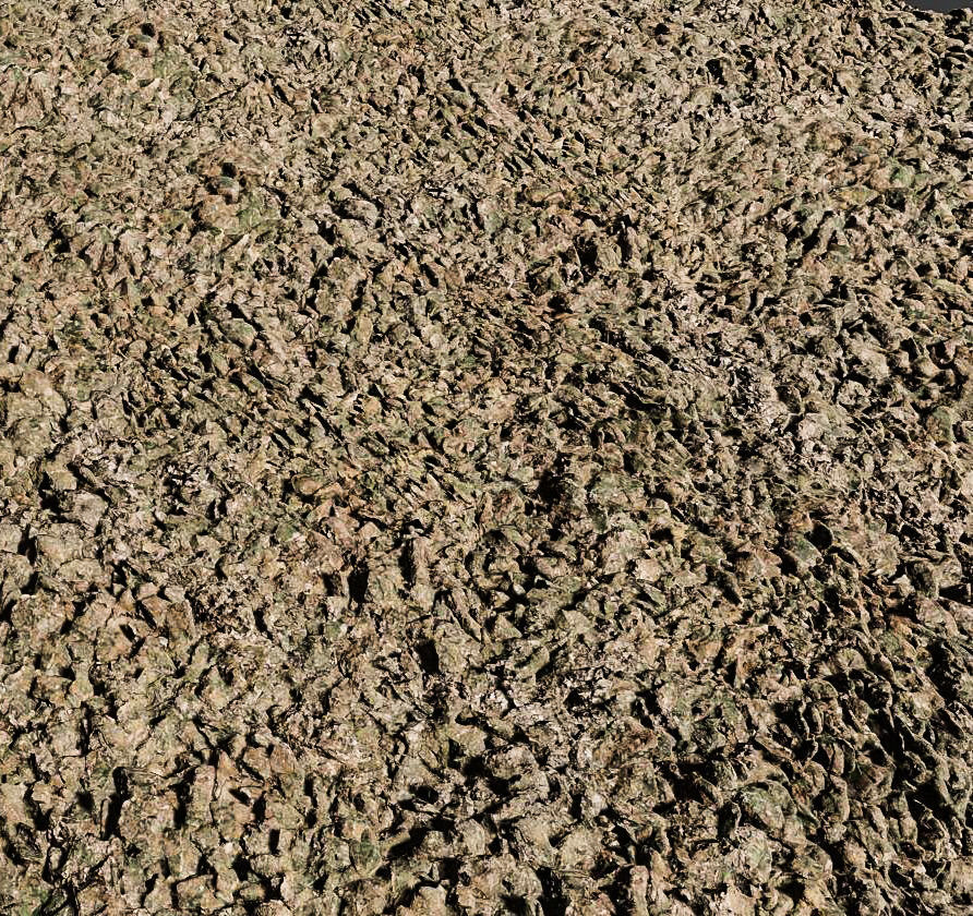 Rough Terrain 3D Model 3D model_1