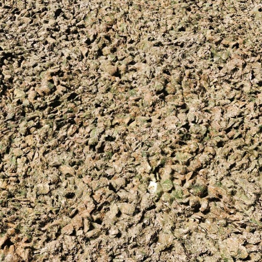 Rough Terrain 3D Model 3D model_7