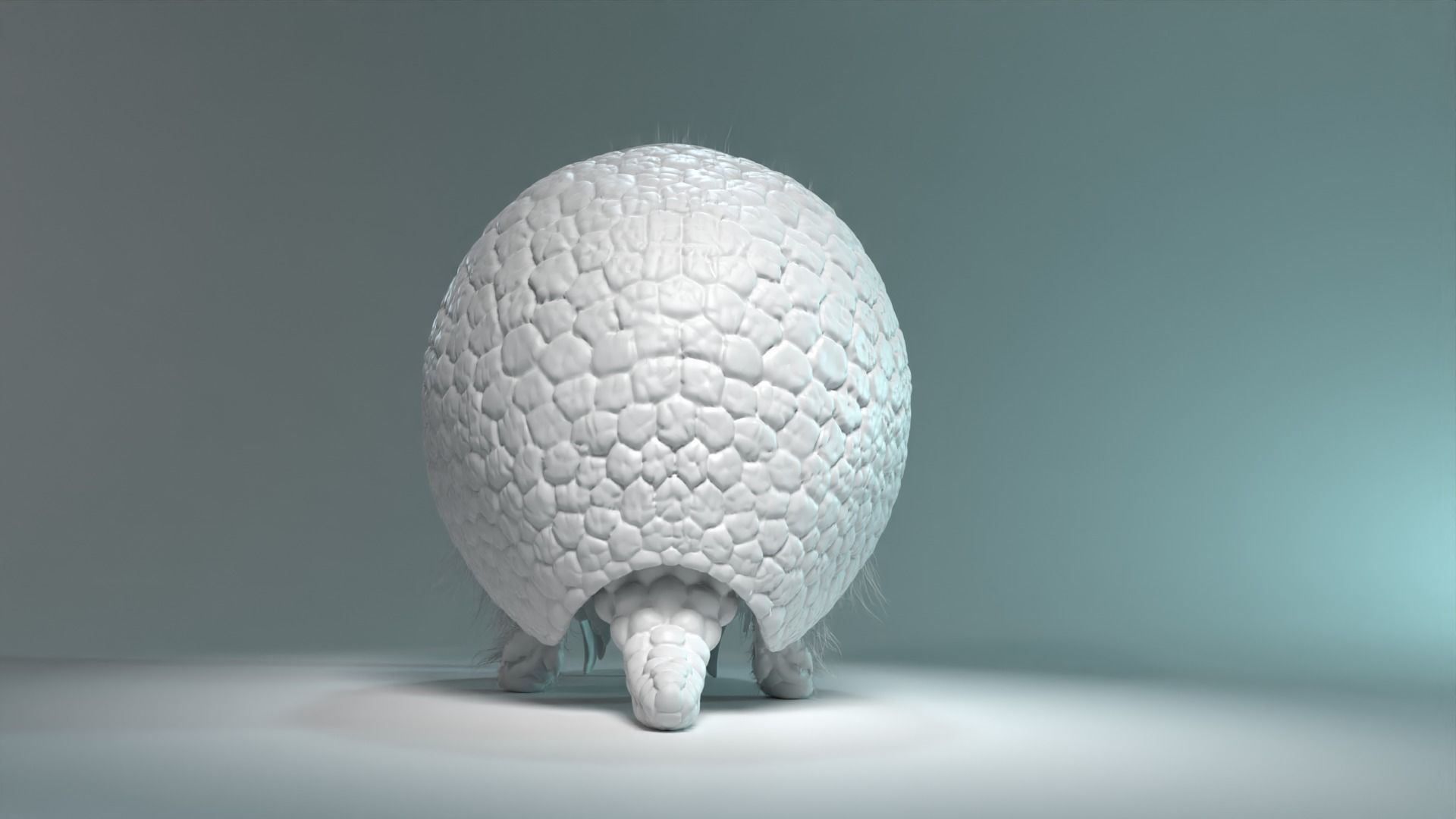 Armadillo Animated  VFX Grace 3D model_11