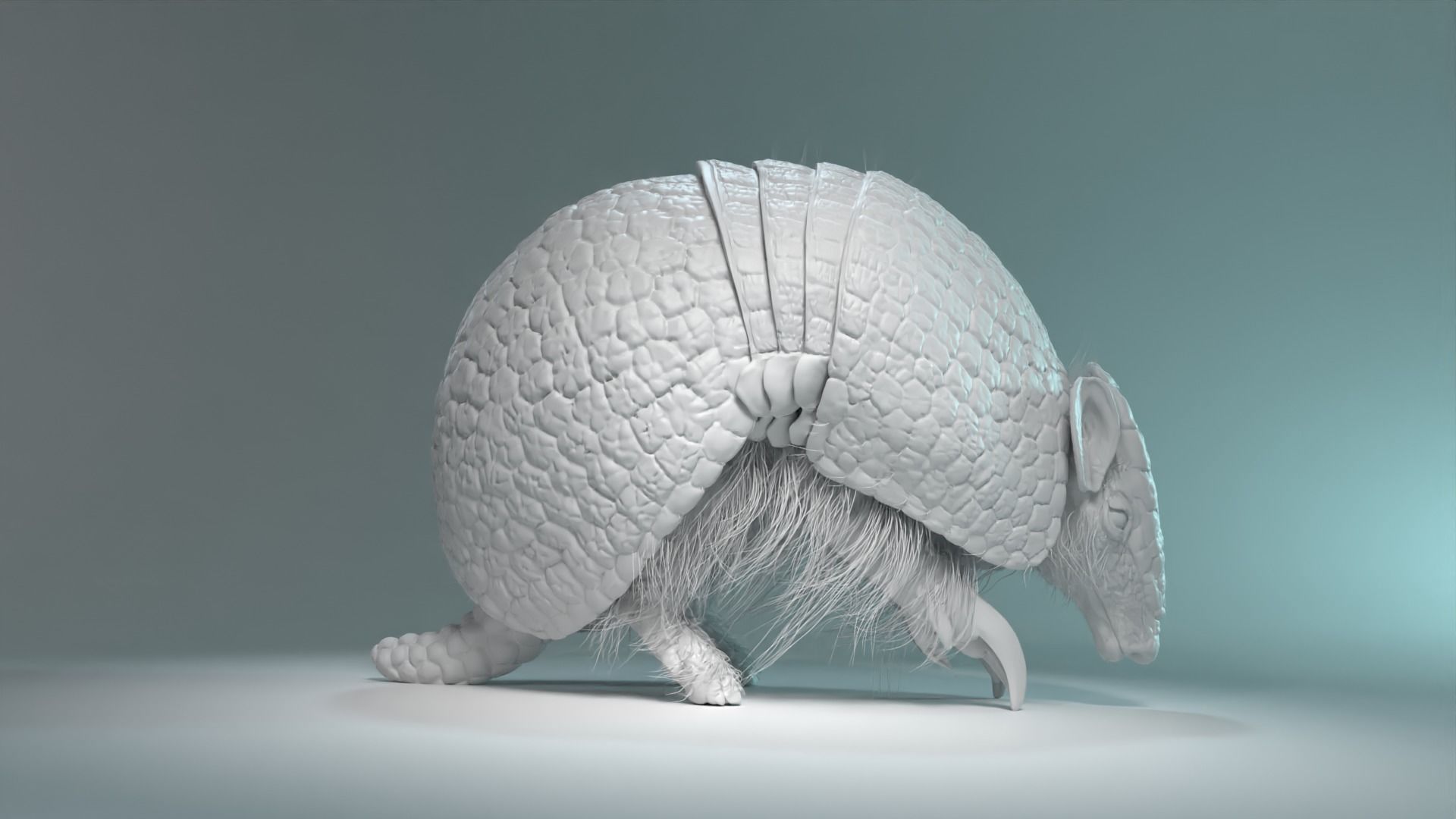 Armadillo Animated  VFX Grace 3D model_10