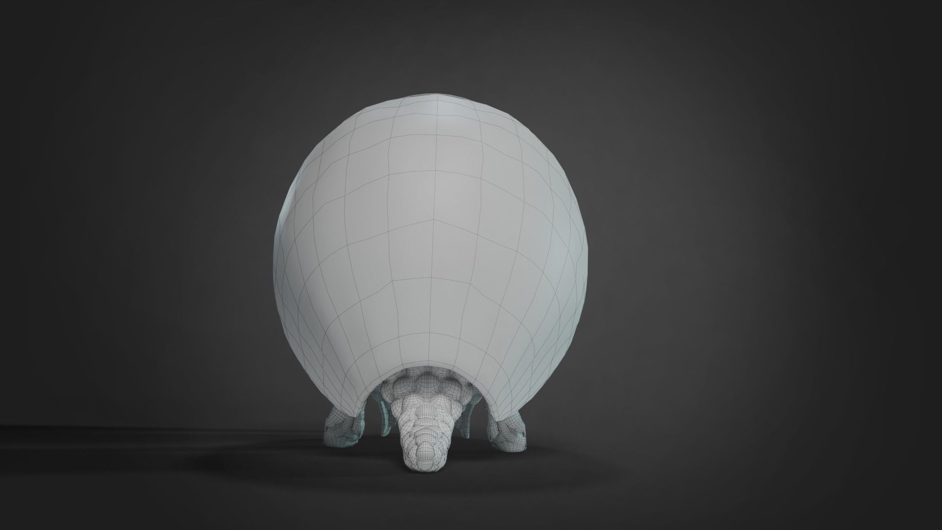 Armadillo Animated  VFX Grace 3D model_15