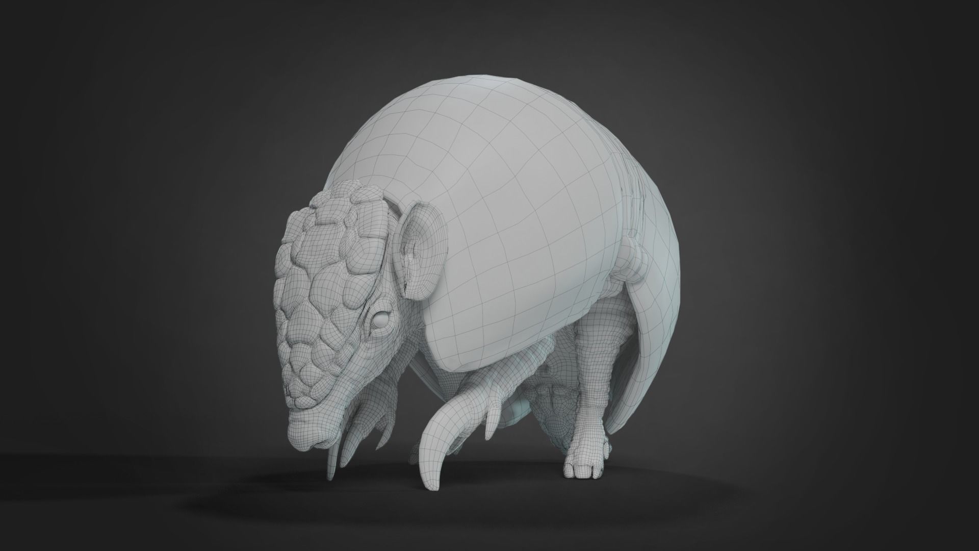 Armadillo Animated  VFX Grace 3D model_12