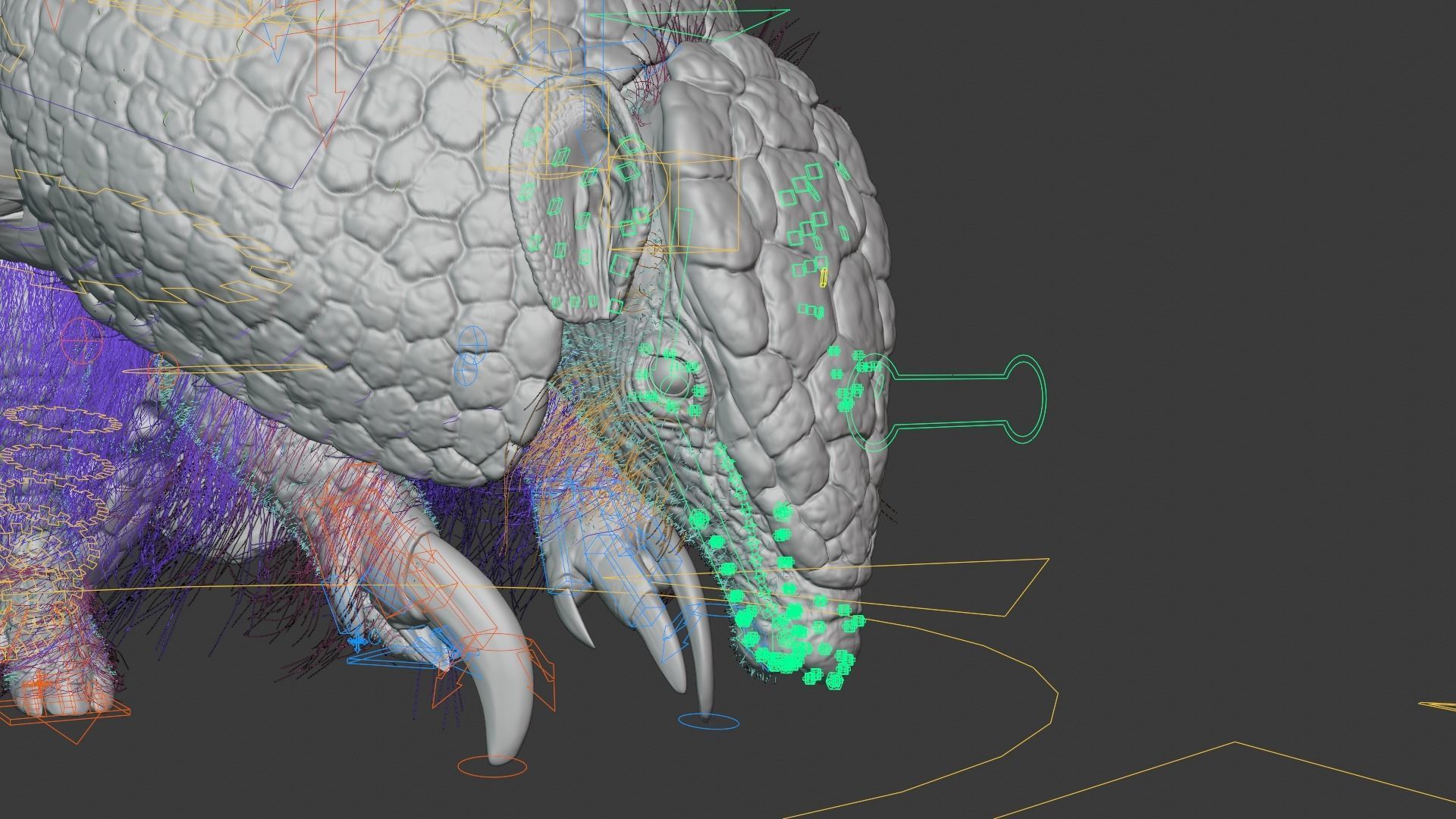 Armadillo Animated  VFX Grace 3D model_18