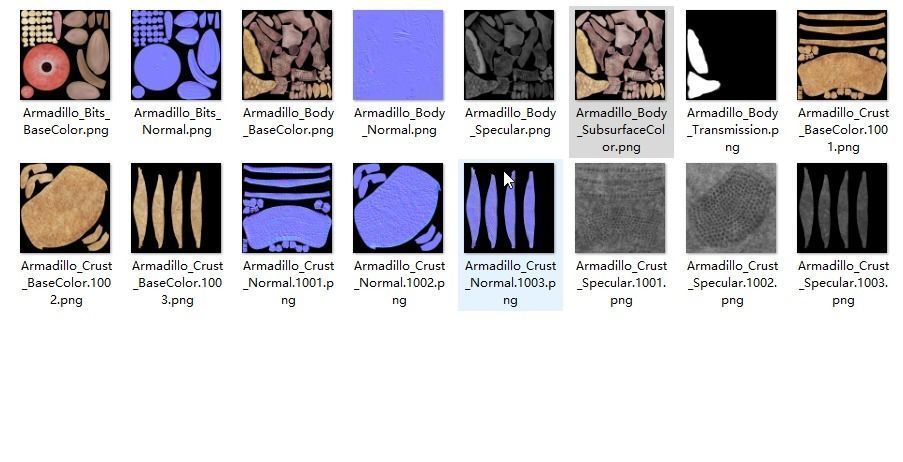 Armadillo Animated  VFX Grace 3D model_21