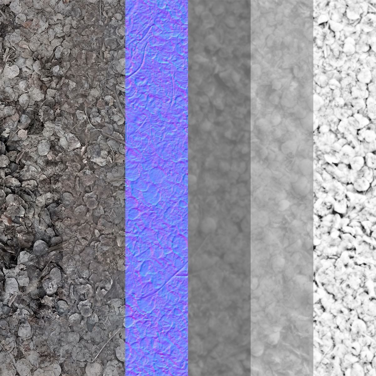 Ground - Aspen Tree Cover Texture_2