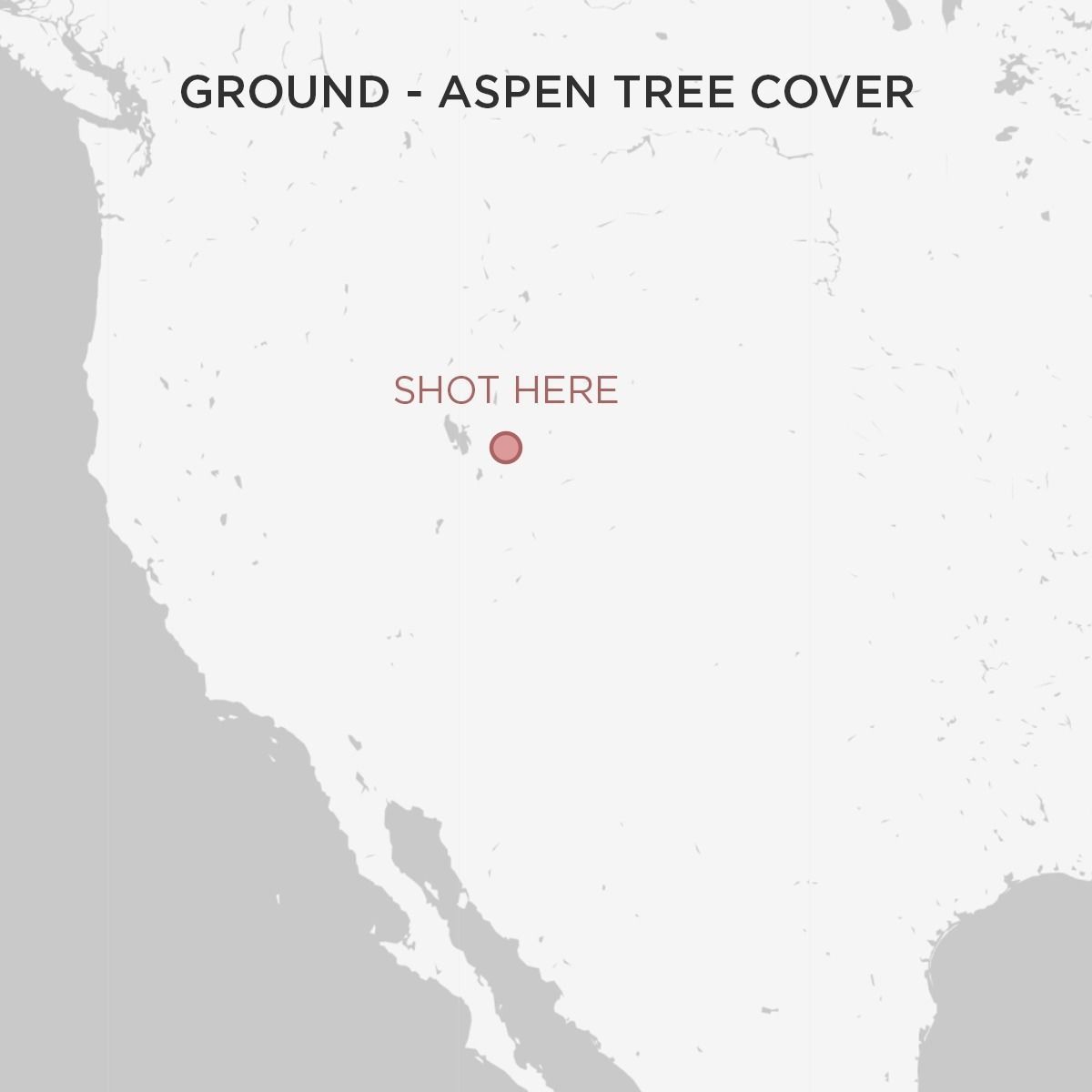 Ground - Aspen Tree Cover Texture_1