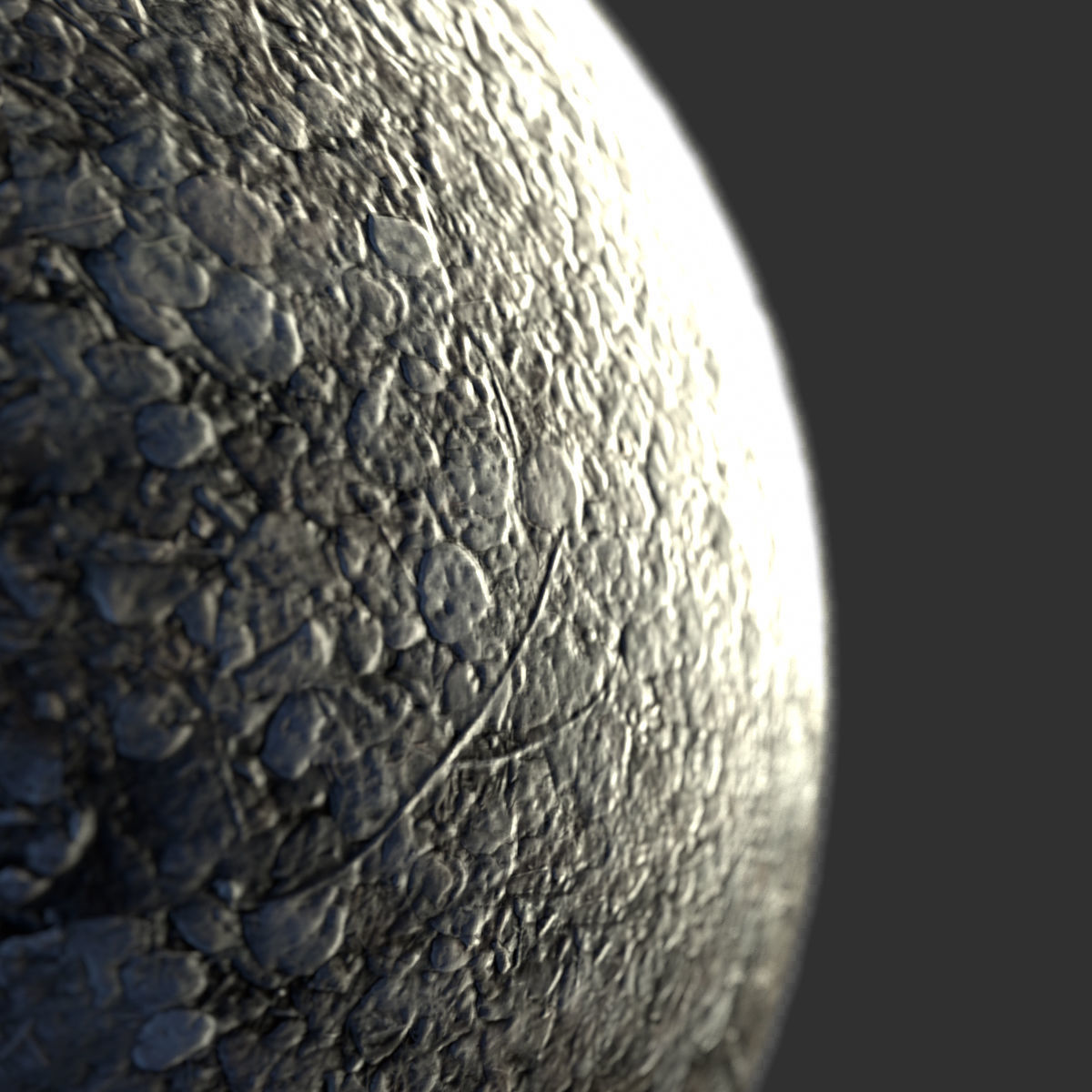 Ground - Aspen Tree Cover Texture_3