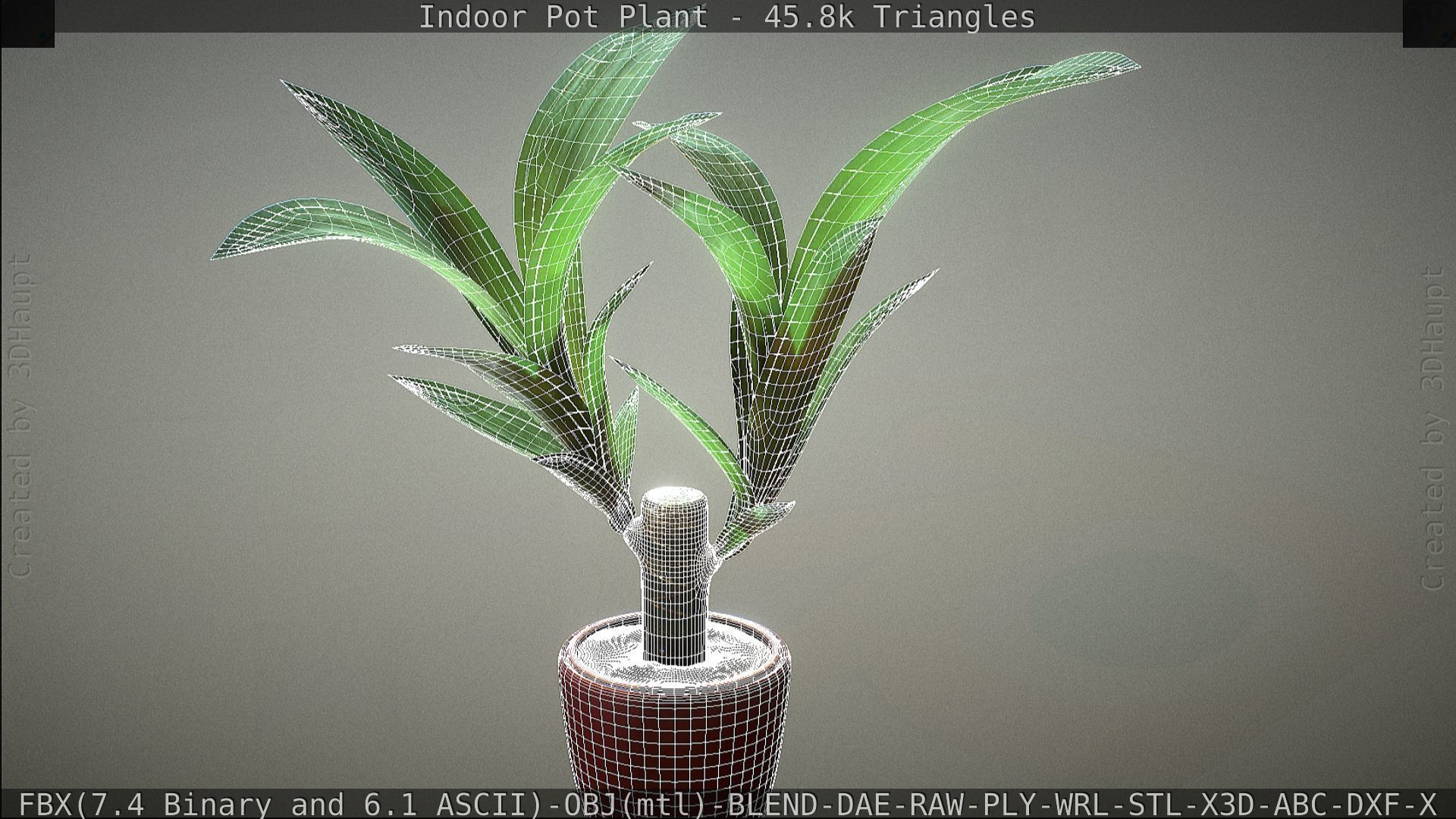 Indoor Pot Plant 1 Low-poly 3D model_67