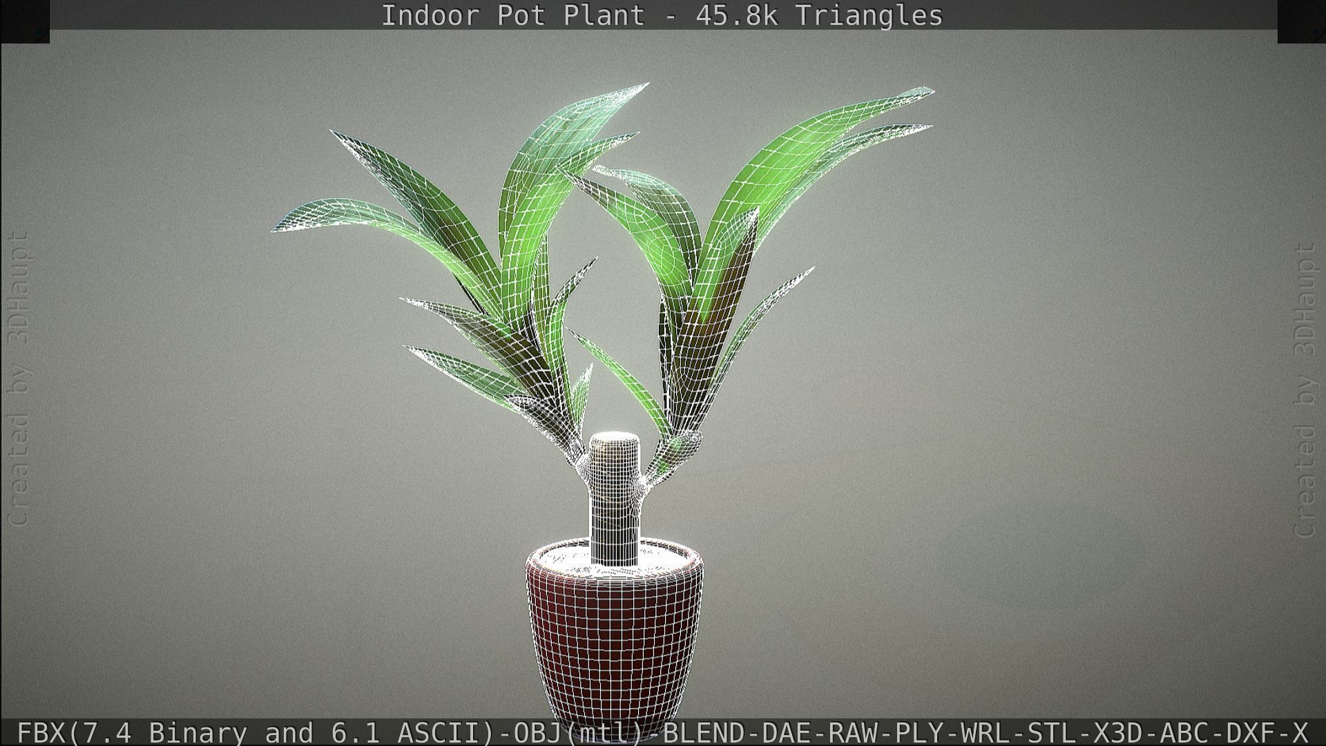 Indoor Pot Plant 1 Low-poly 3D model_70