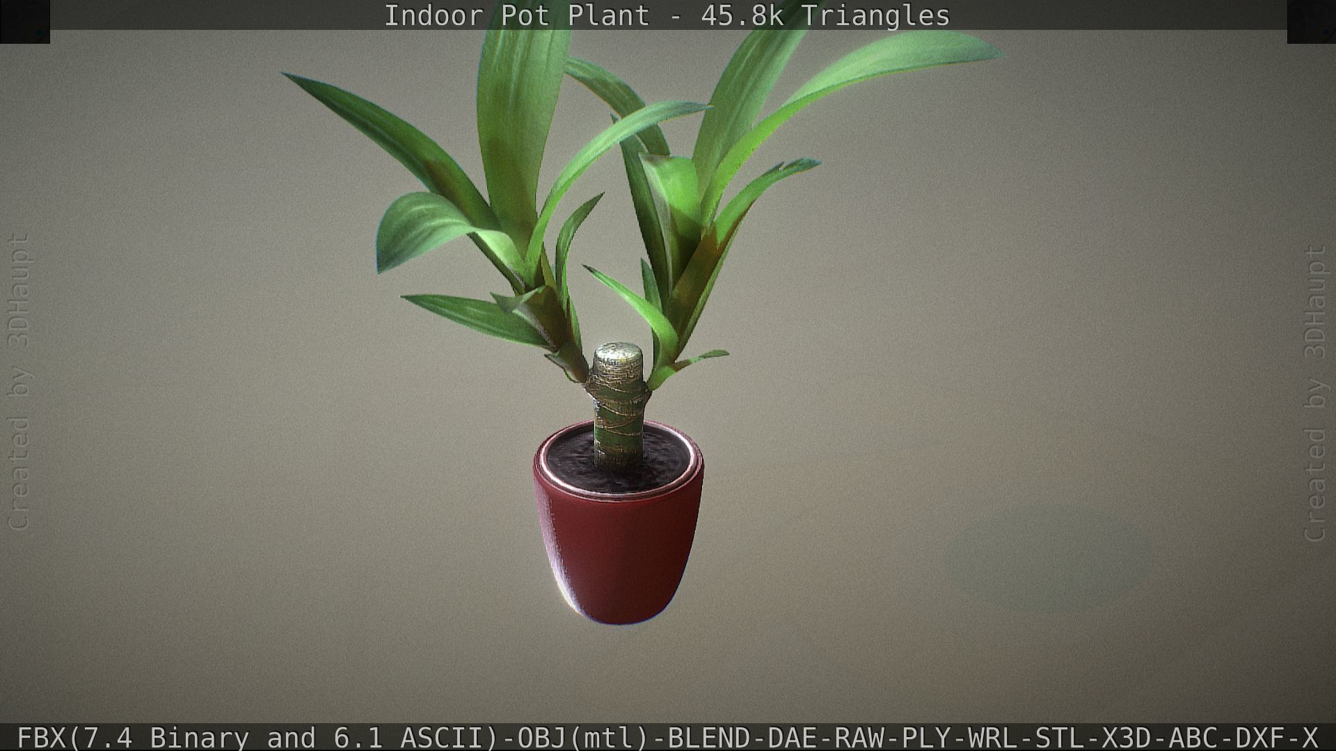 Indoor Pot Plant 1 Low-poly 3D model_55