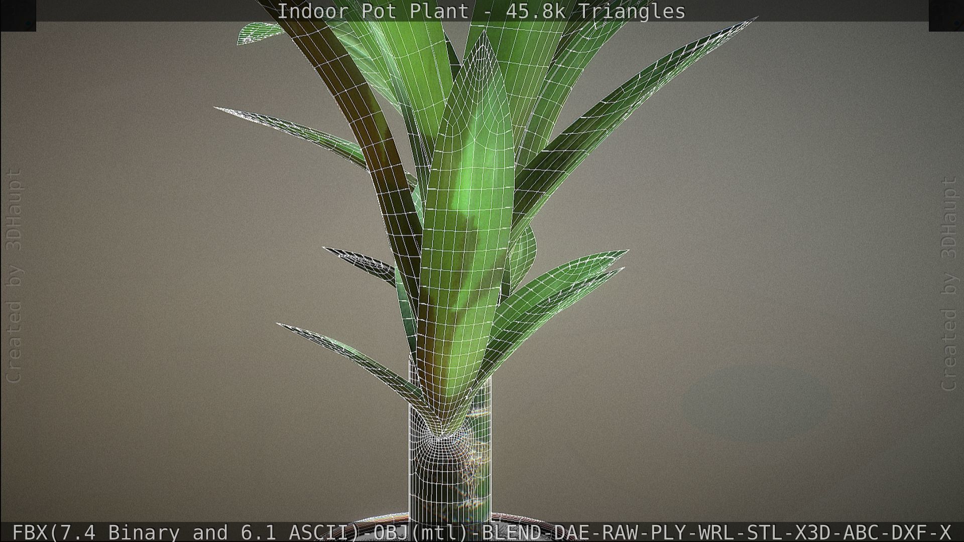 Indoor Pot Plant 1 Low-poly 3D model_73