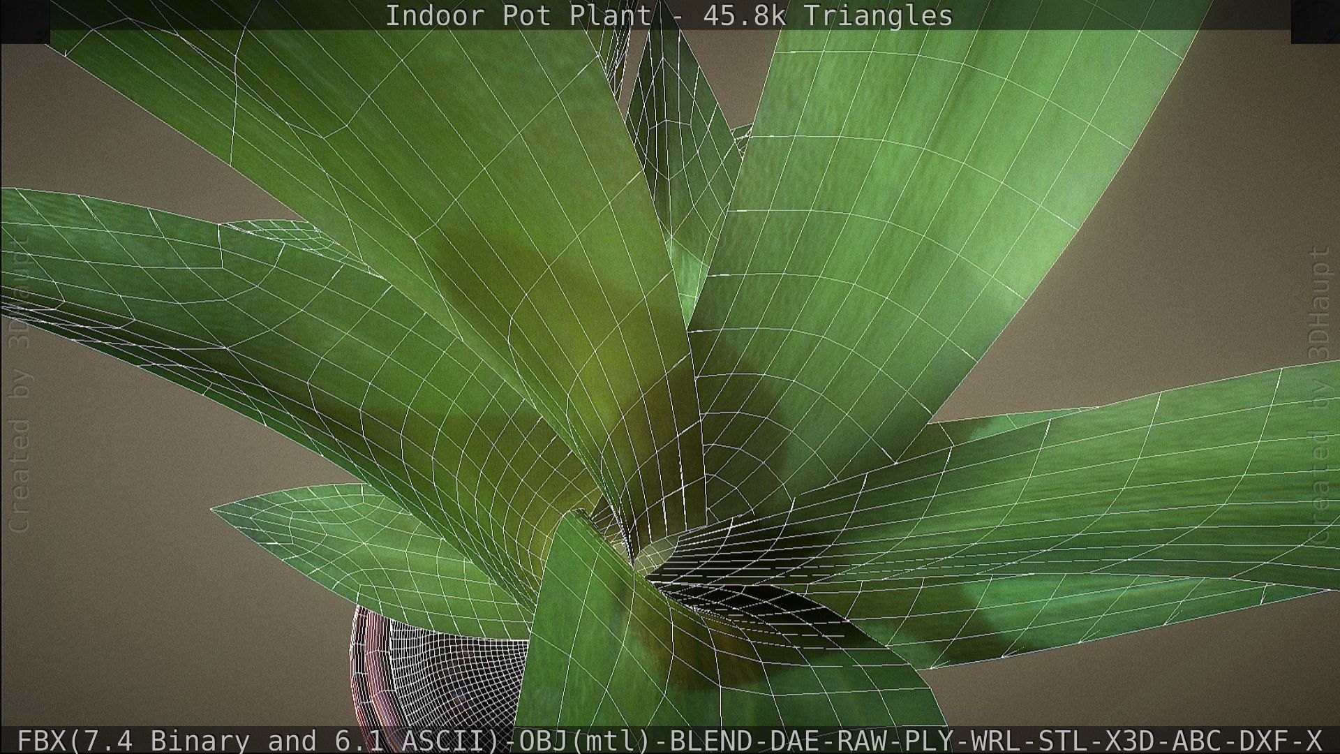 Indoor Pot Plant 1 Low-poly 3D model_80