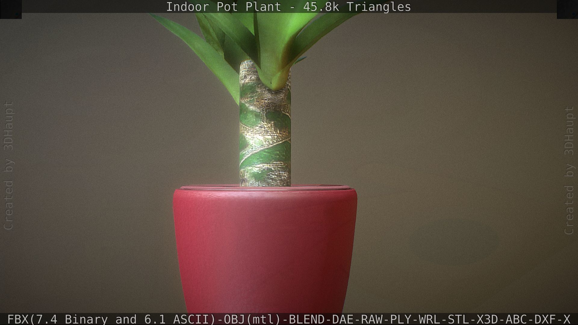 Indoor Pot Plant 1 Low-poly 3D model_54