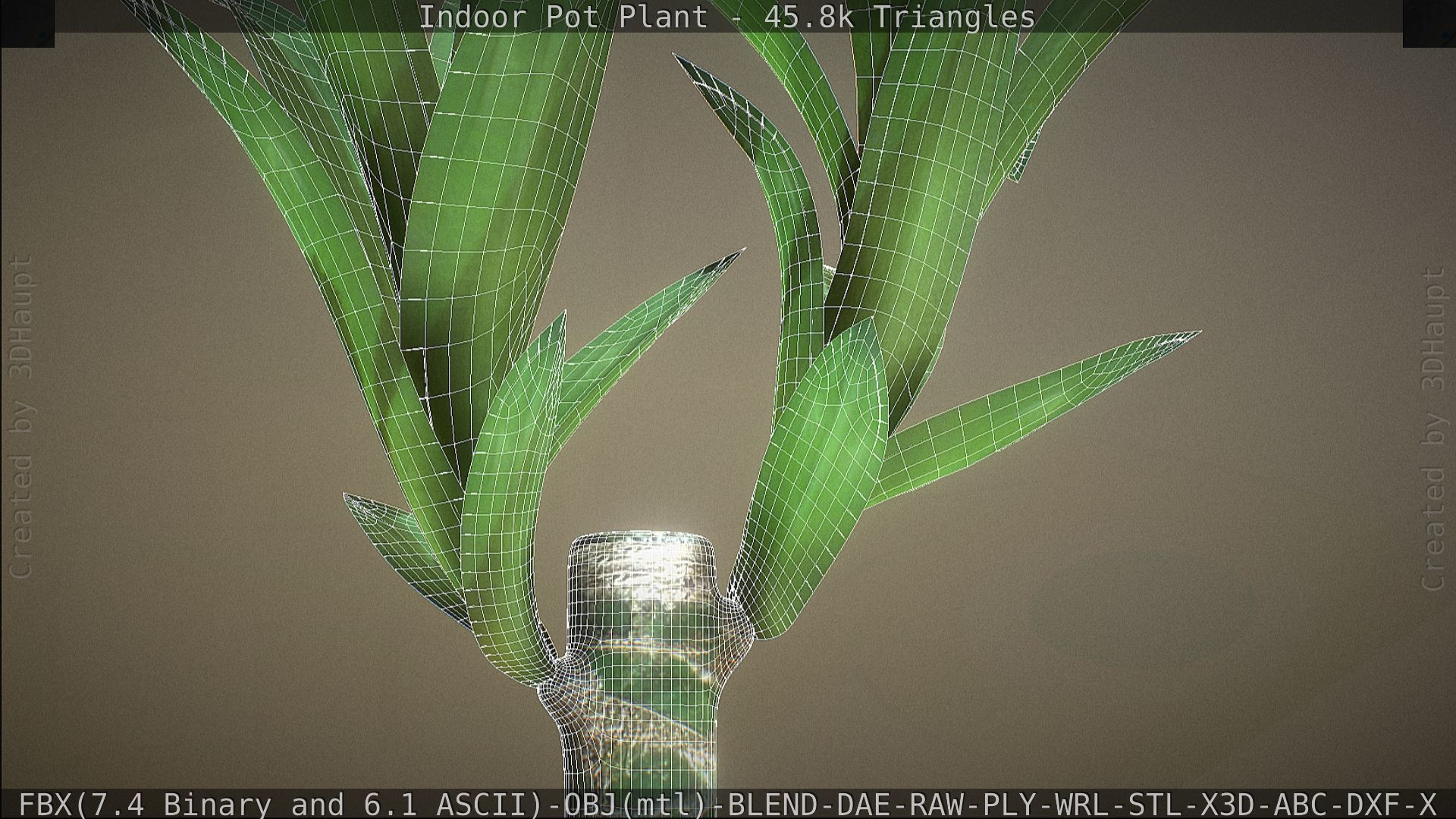 Indoor Pot Plant 1 Low-poly 3D model_77