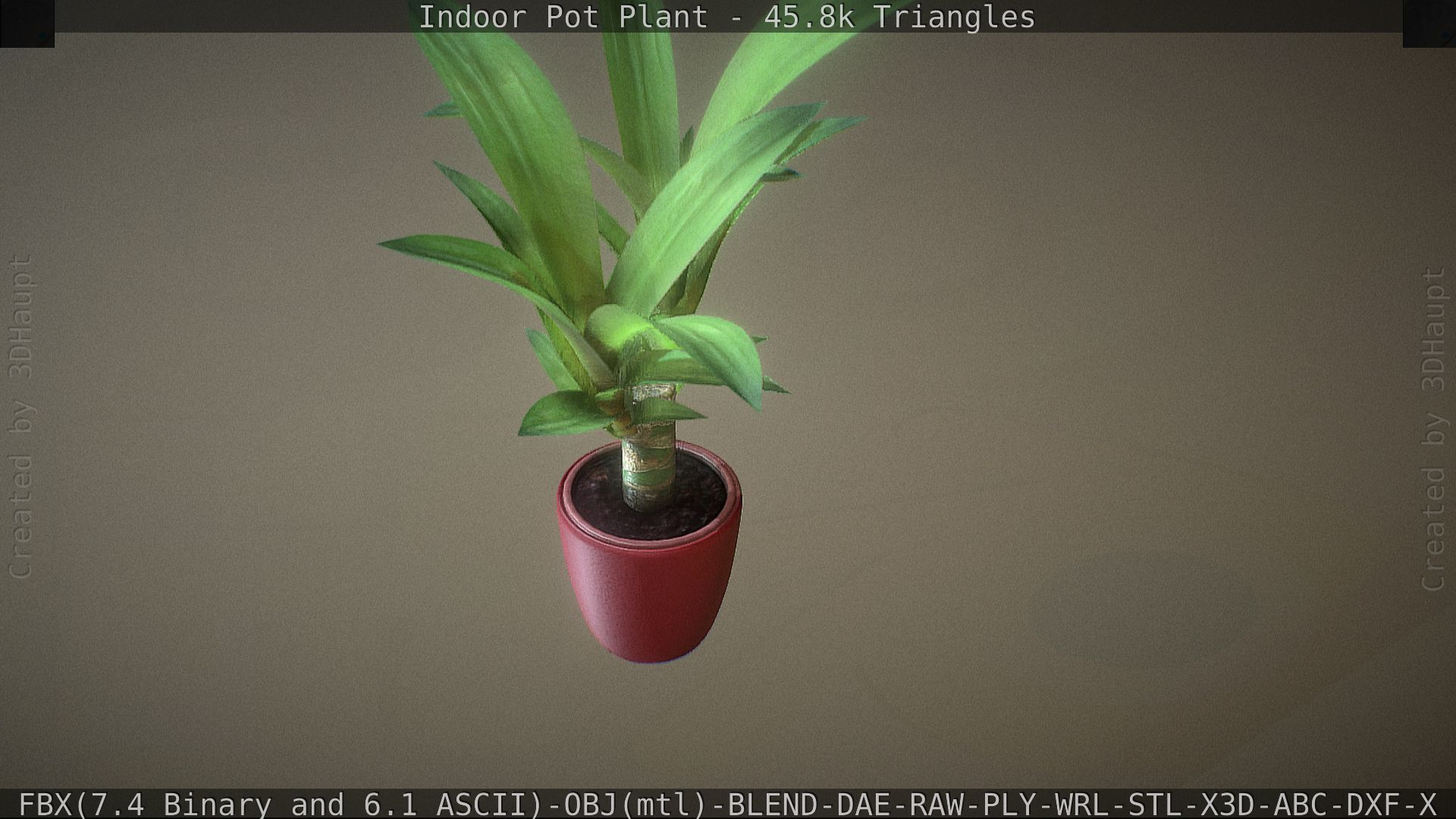 Indoor Pot Plant 1 Low-poly 3D model_53