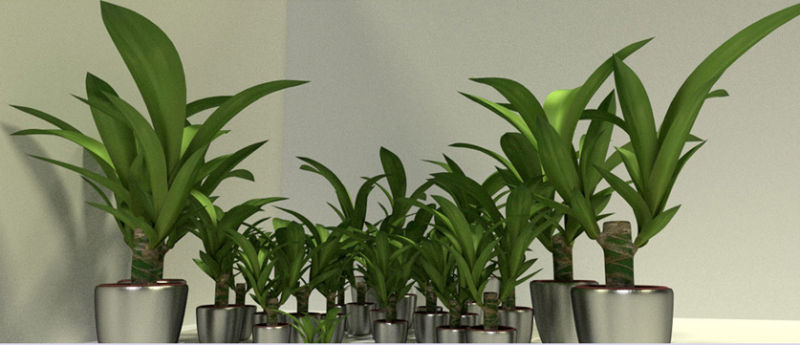 Indoor Pot Plant 1 Low-poly 3D model_4