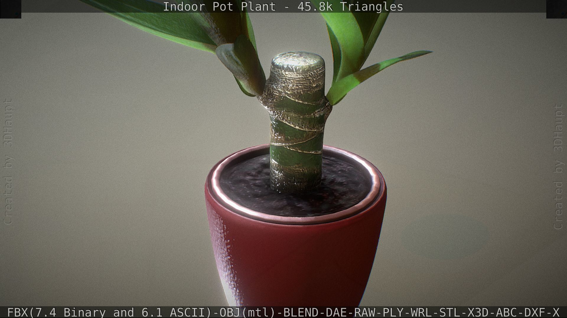 Indoor Pot Plant 1 Low-poly 3D model_48