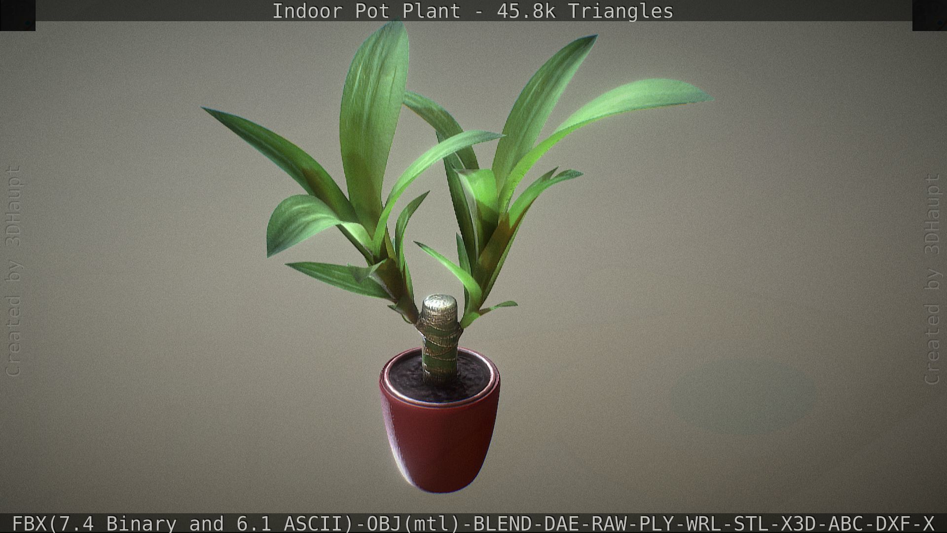 Indoor Pot Plant 1 Low-poly 3D model_56