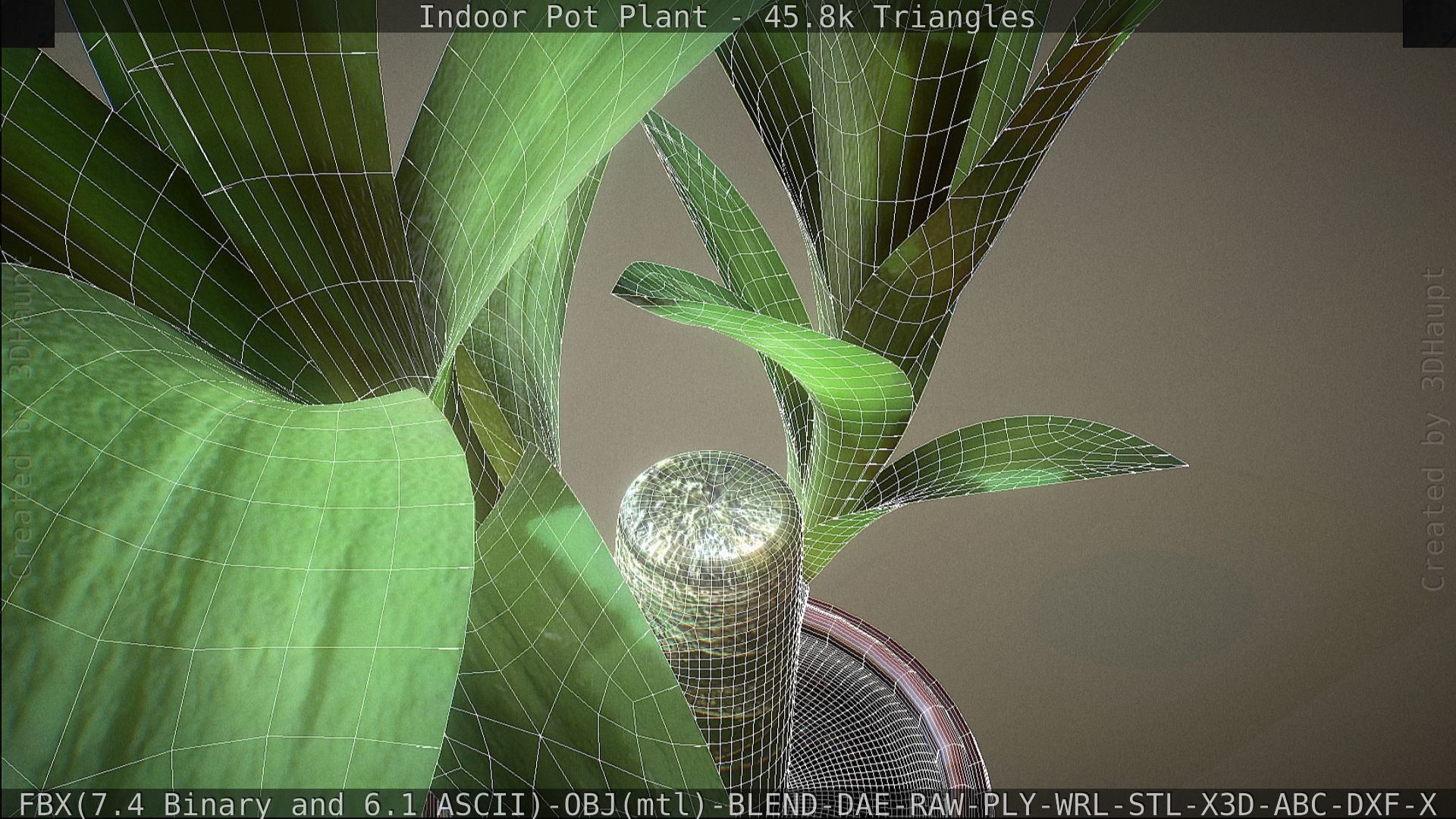 Indoor Pot Plant 1 Low-poly 3D model_82