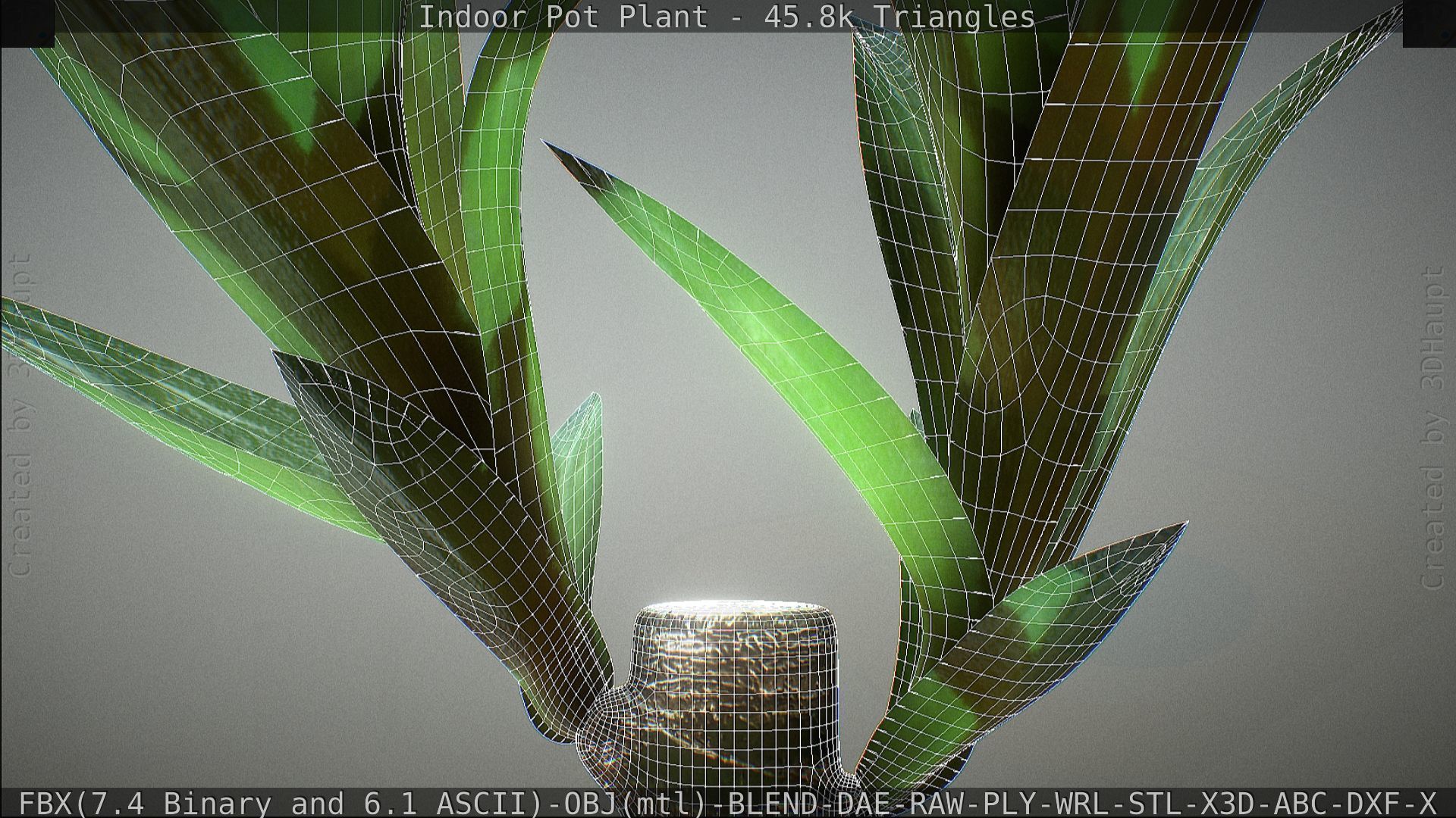 Indoor Pot Plant 1 Low-poly 3D model_85