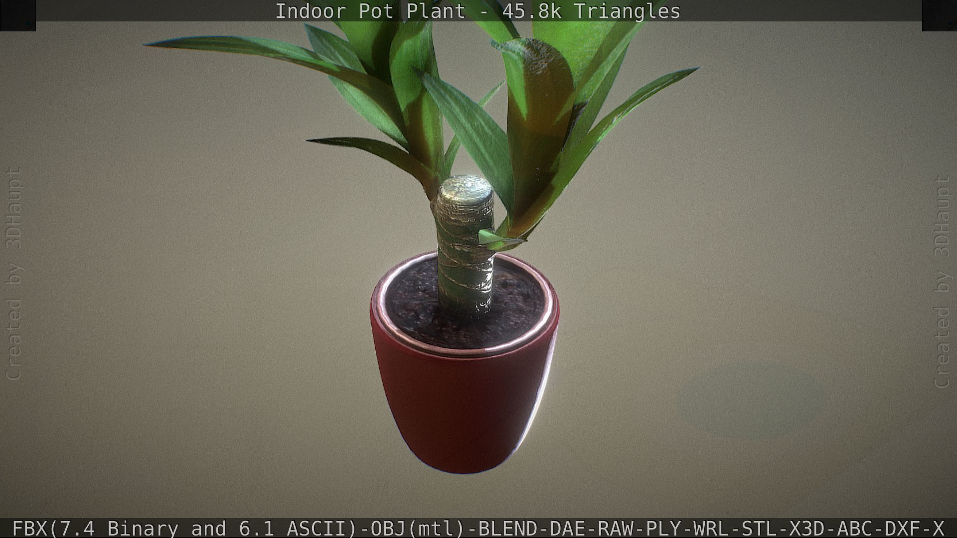 Indoor Pot Plant 1 Low-poly 3D model_43