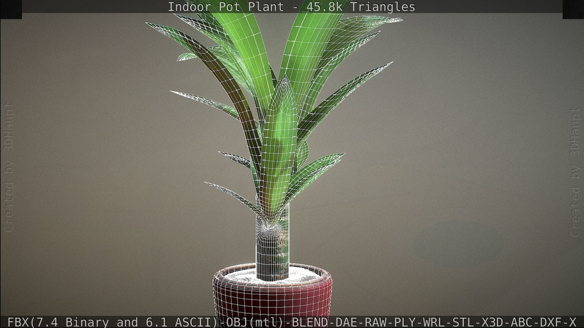 Indoor Pot Plant 1 Low-poly 3D model_71