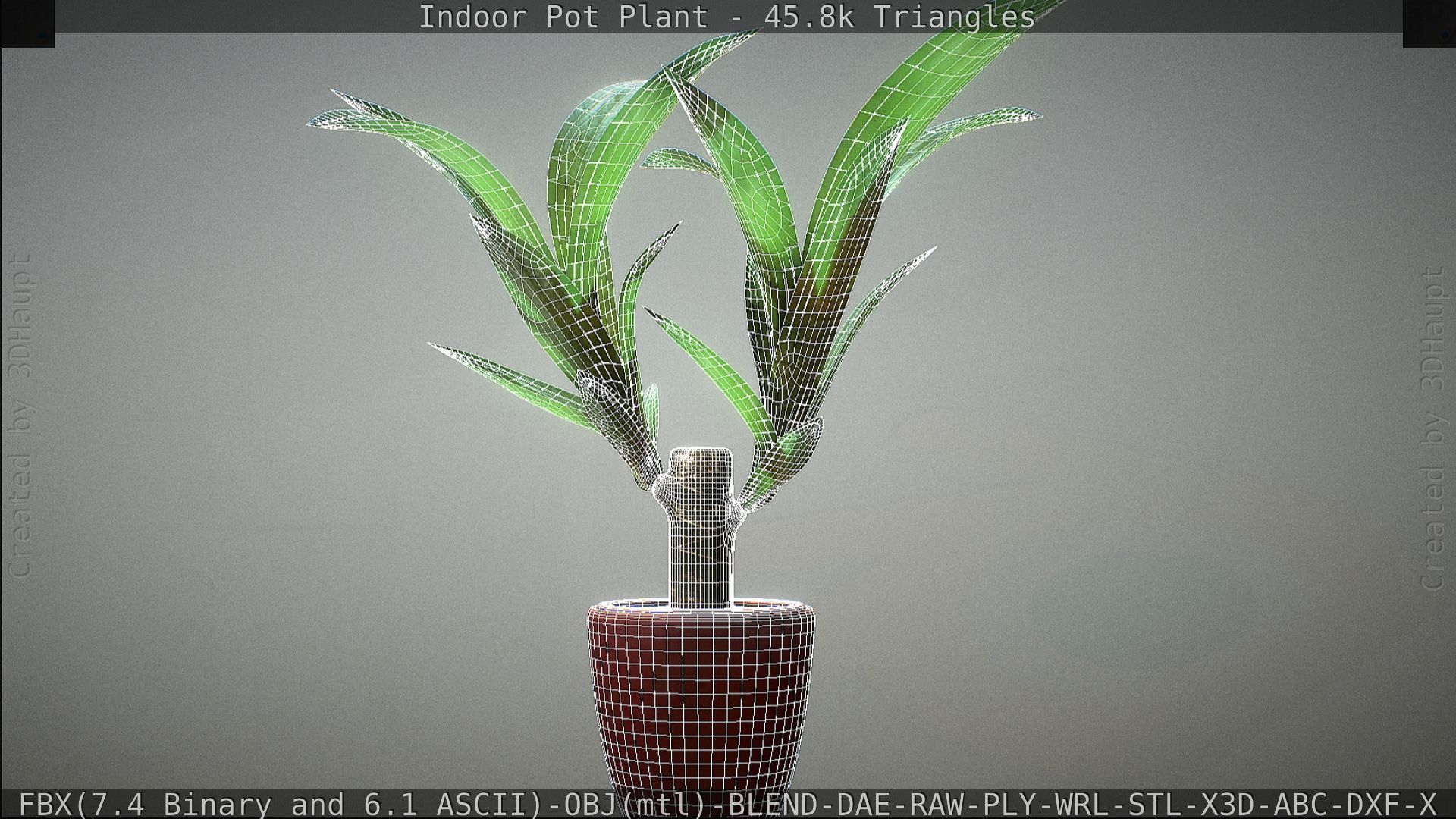 Indoor Pot Plant 1 Low-poly 3D model_88