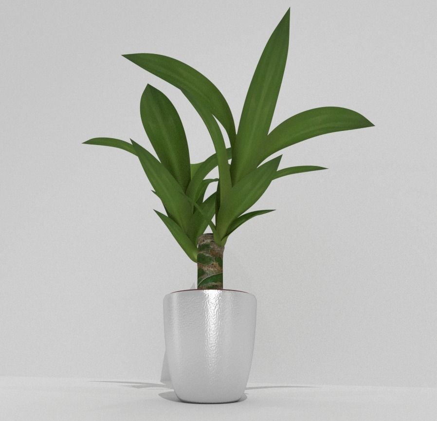 Indoor Pot Plant 1 Low-poly 3D model_6
