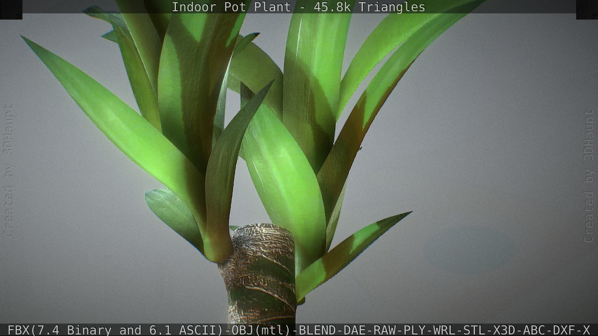 Indoor Pot Plant 1 Low-poly 3D model_29