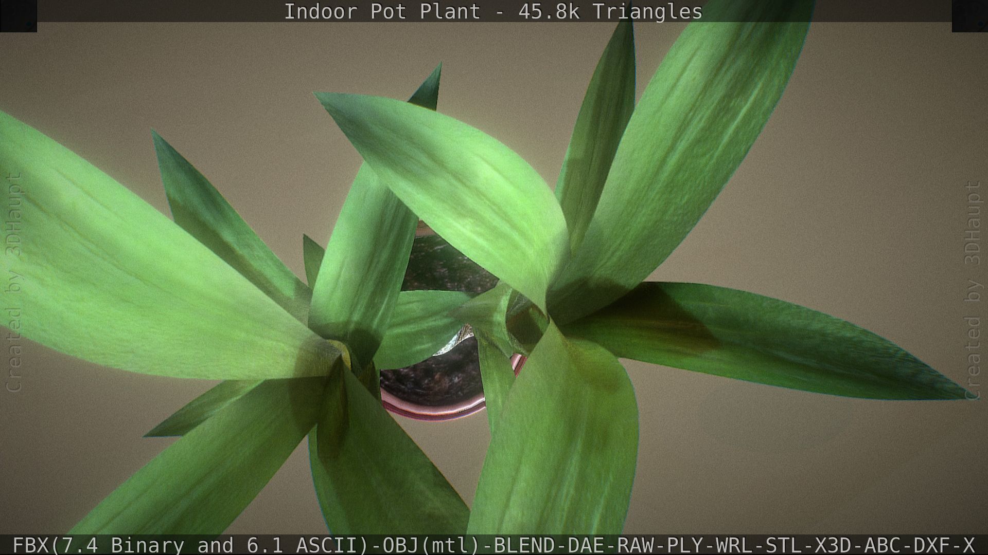 Indoor Pot Plant 1 Low-poly 3D model_22