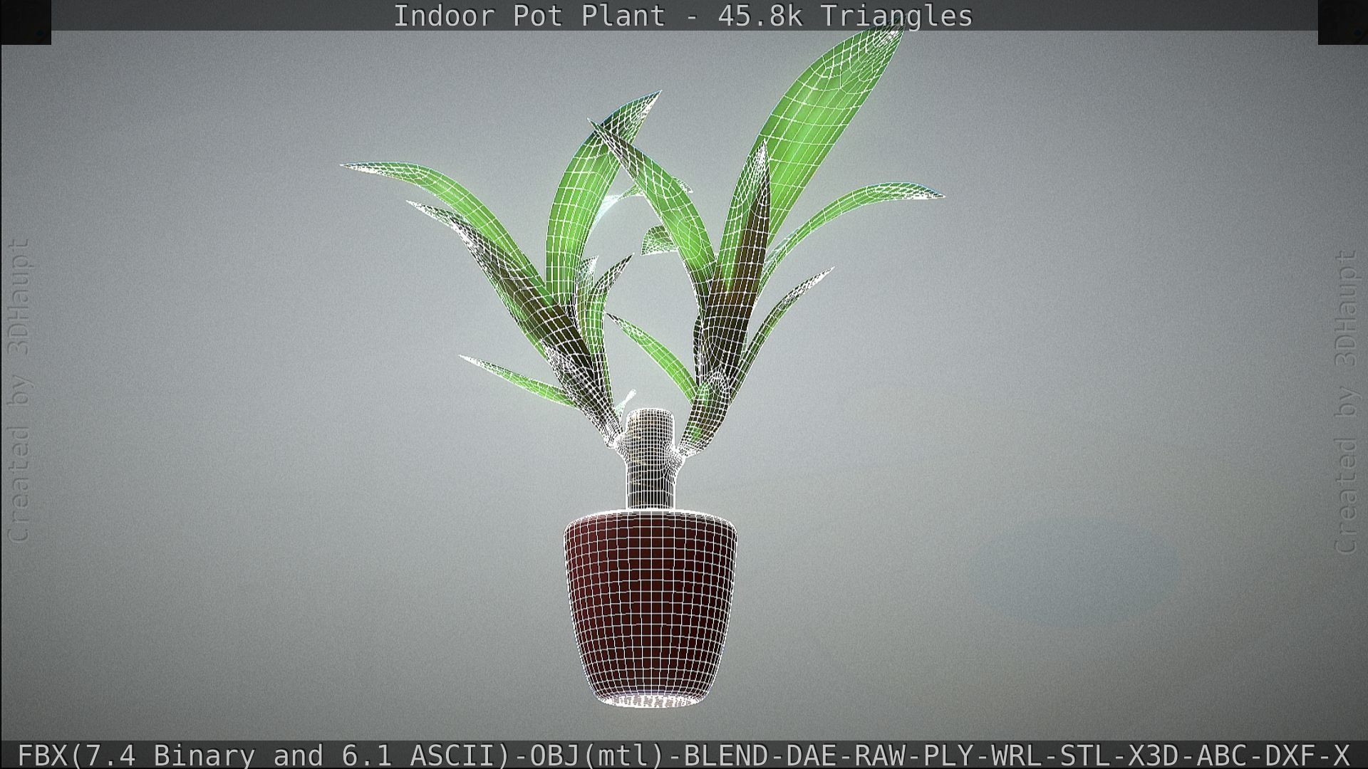 Indoor Pot Plant 1 Low-poly 3D model_72