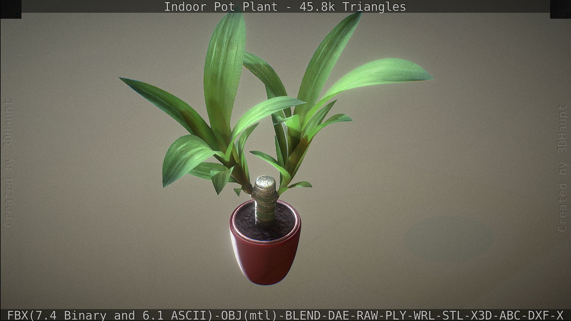 Indoor Pot Plant 1 Low-poly 3D model_69
