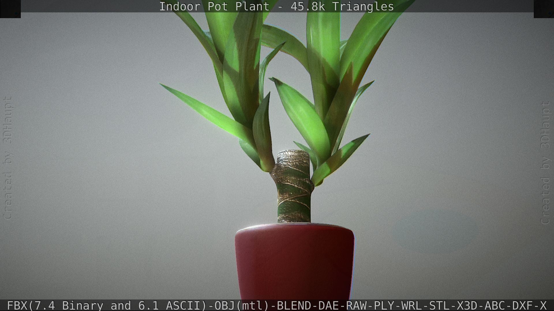 Indoor Pot Plant 1 Low-poly 3D model_14