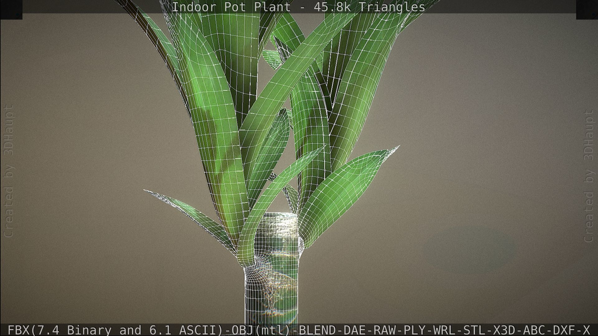 Indoor Pot Plant 1 Low-poly 3D model_74