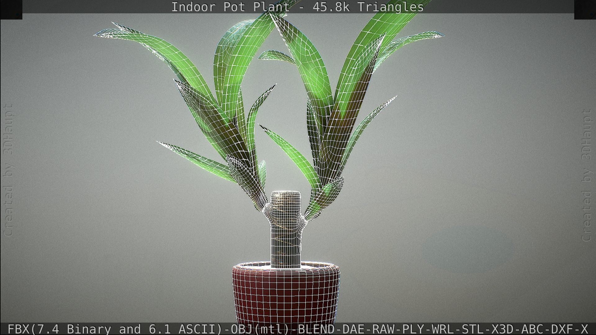 Indoor Pot Plant 1 Low-poly 3D model_94