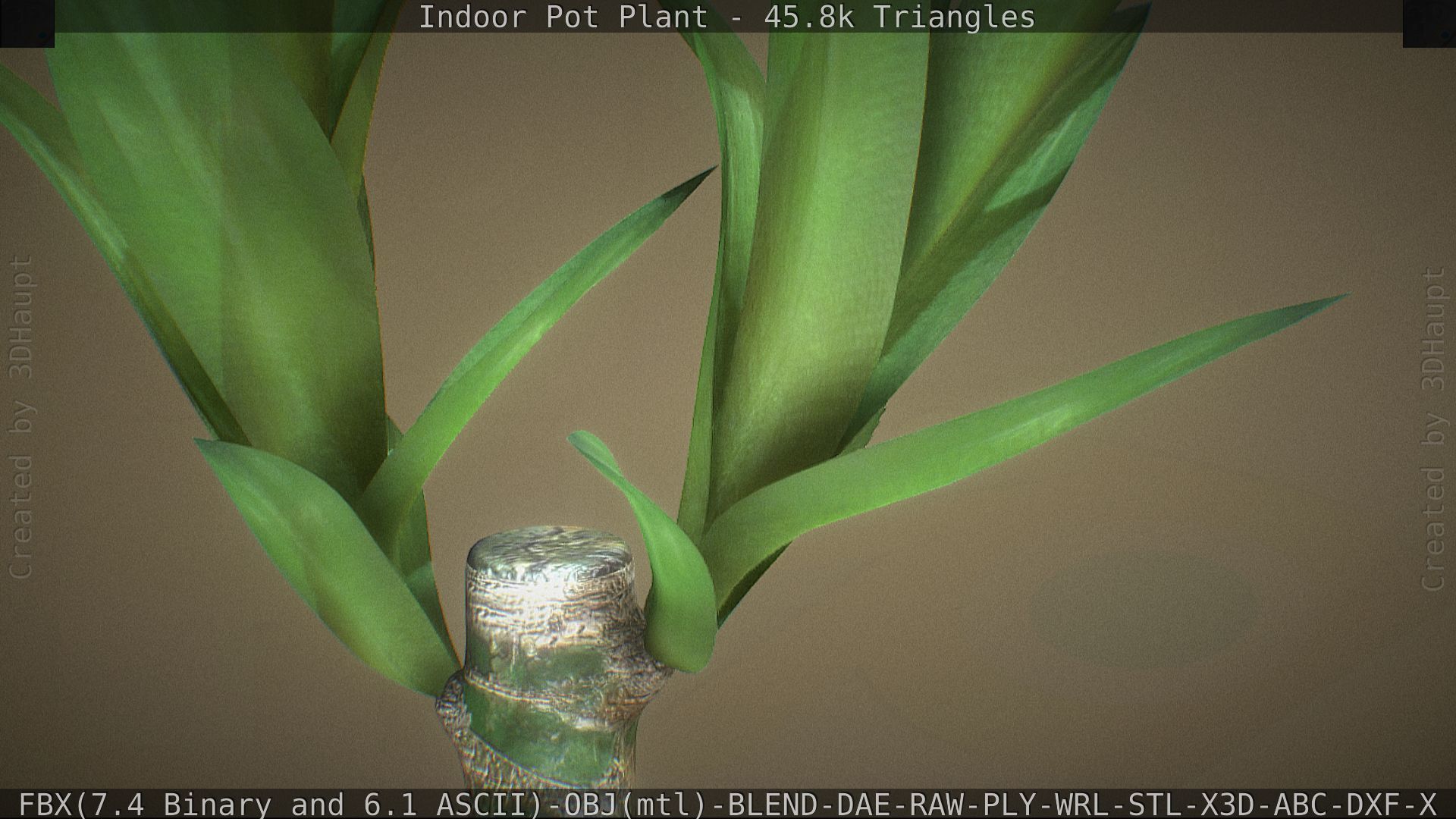 Indoor Pot Plant 1 Low-poly 3D model_27