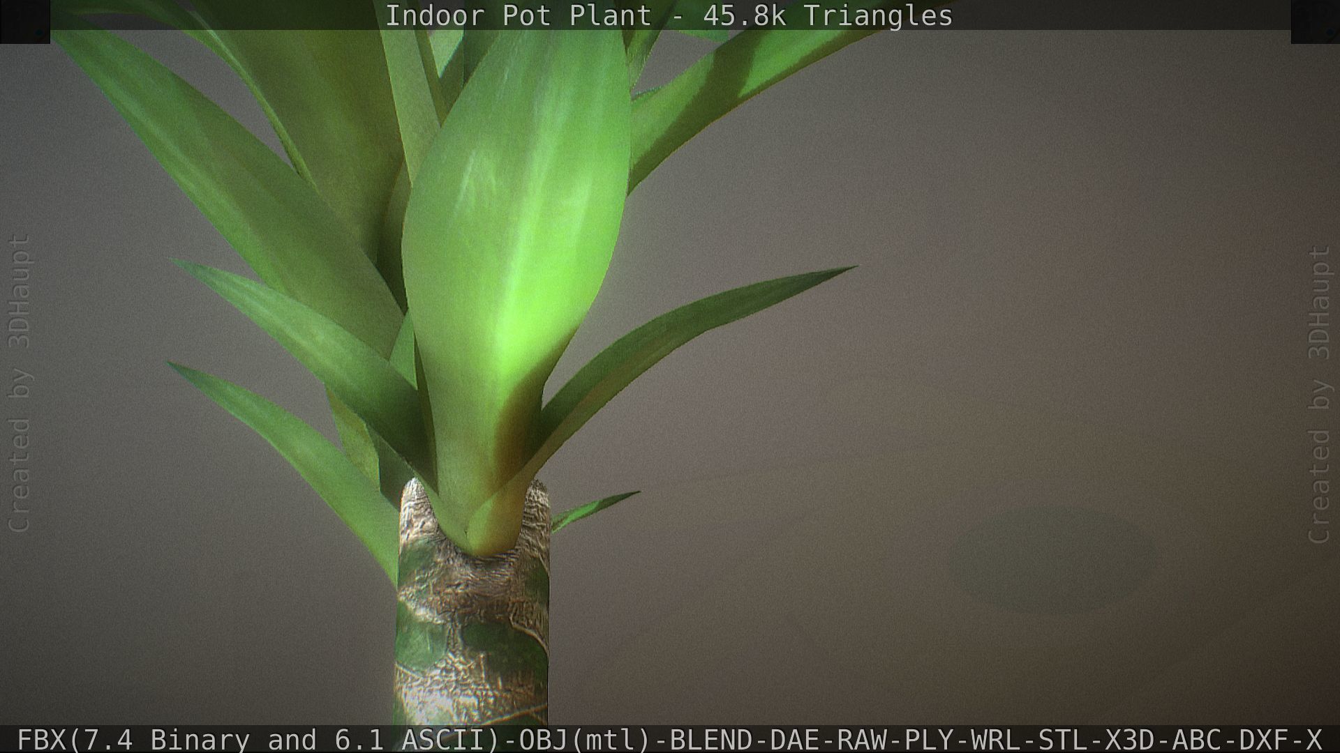 Indoor Pot Plant 1 Low-poly 3D model_39