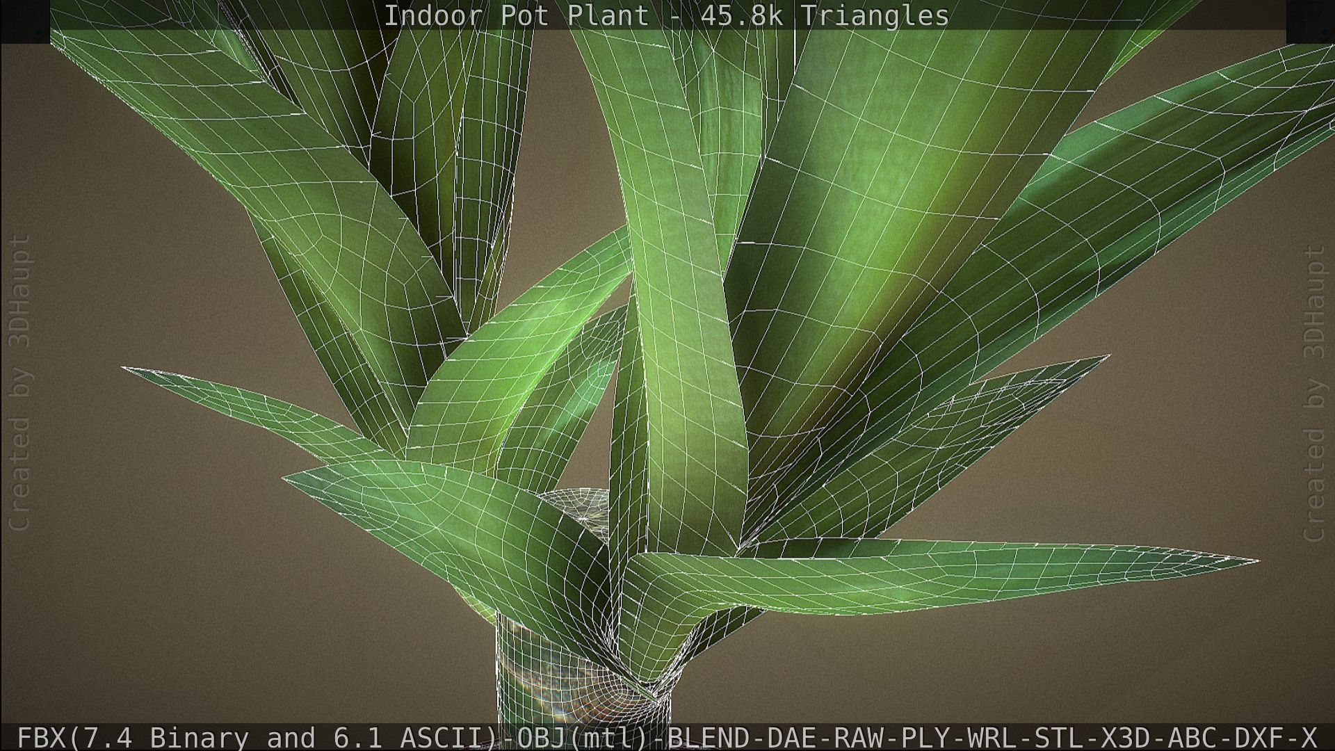 Indoor Pot Plant 1 Low-poly 3D model_78