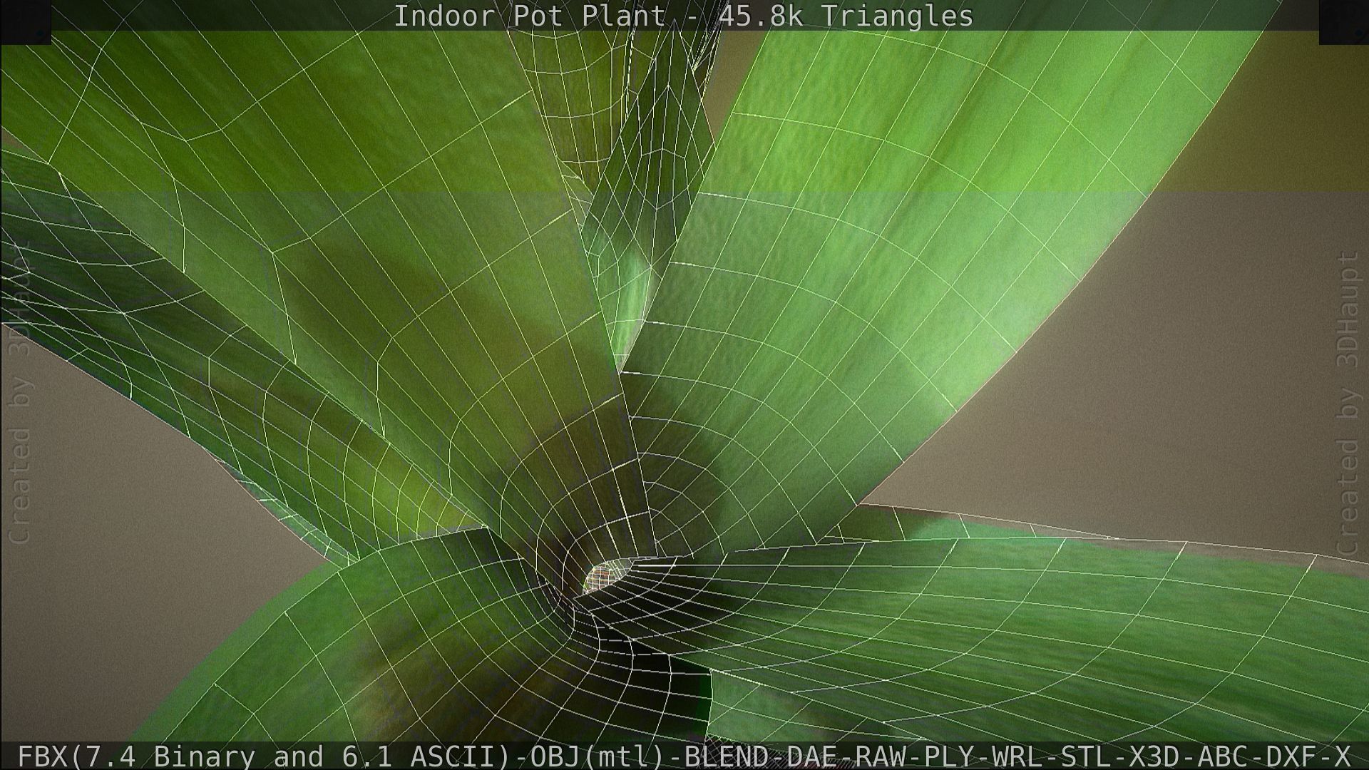 Indoor Pot Plant 1 Low-poly 3D model_81