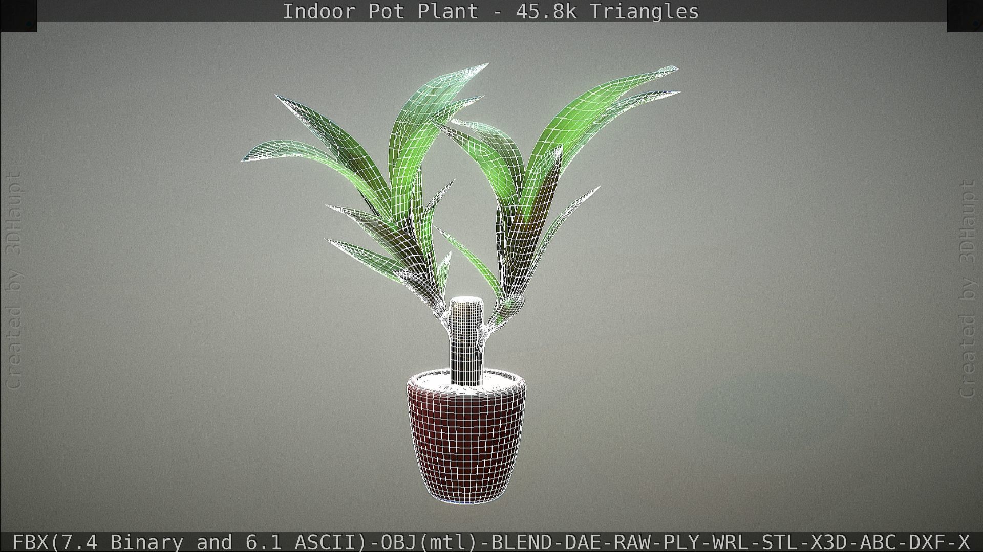 Indoor Pot Plant 1 Low-poly 3D model_75